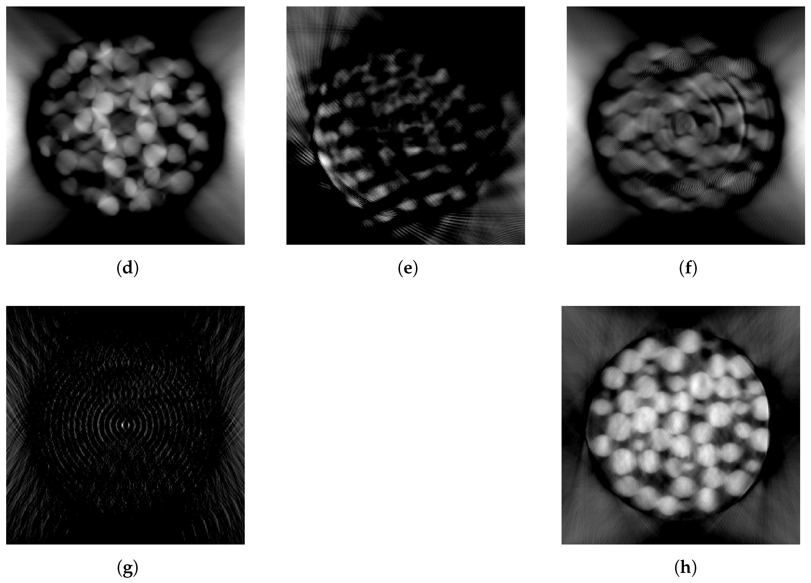 Tomography 09 00094 g007b Tomography 09 00094 g007b