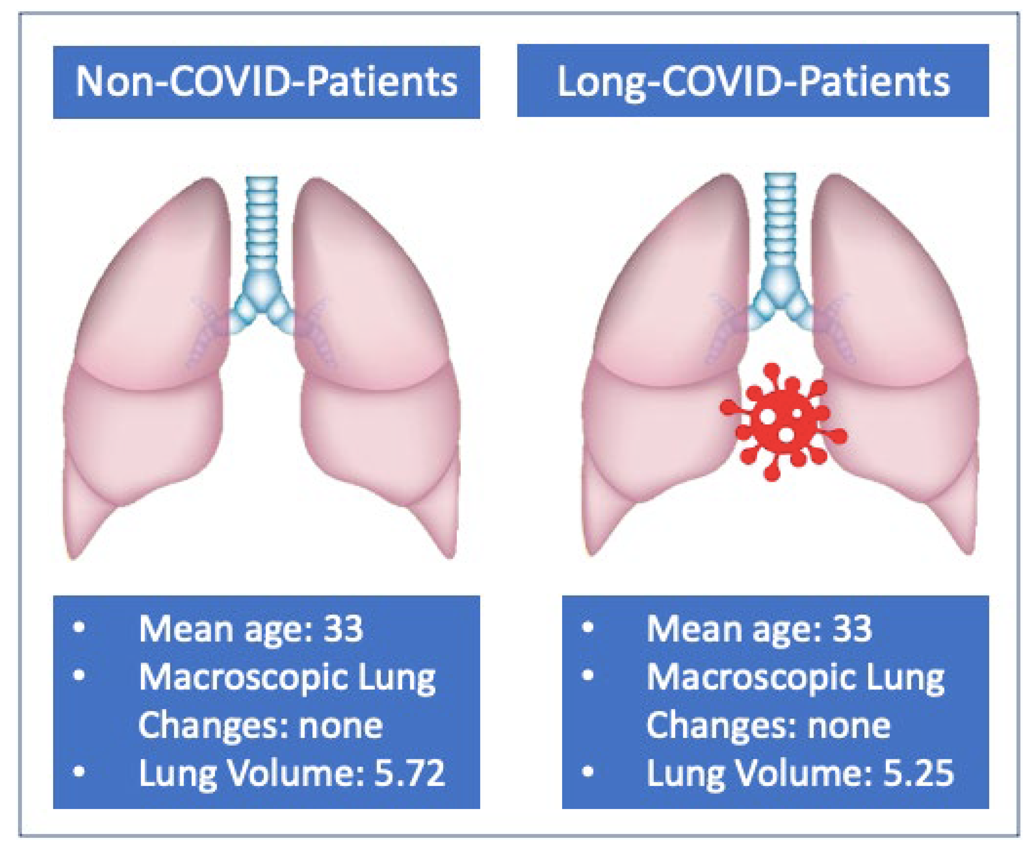 Tomography 09 00101 g003 Tomography 09 00101 g003