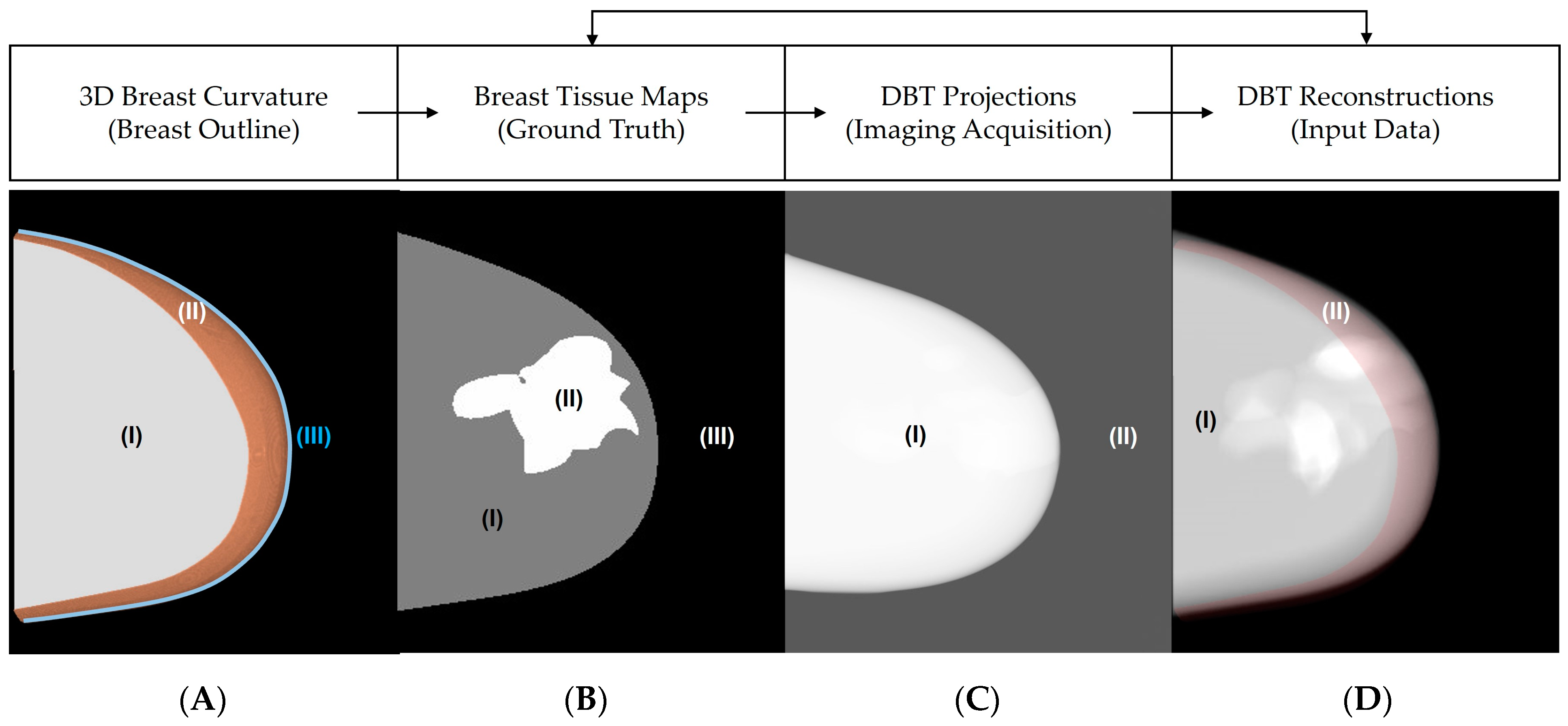 Tomography 09 00103 g001 Tomography 09 00103 g001