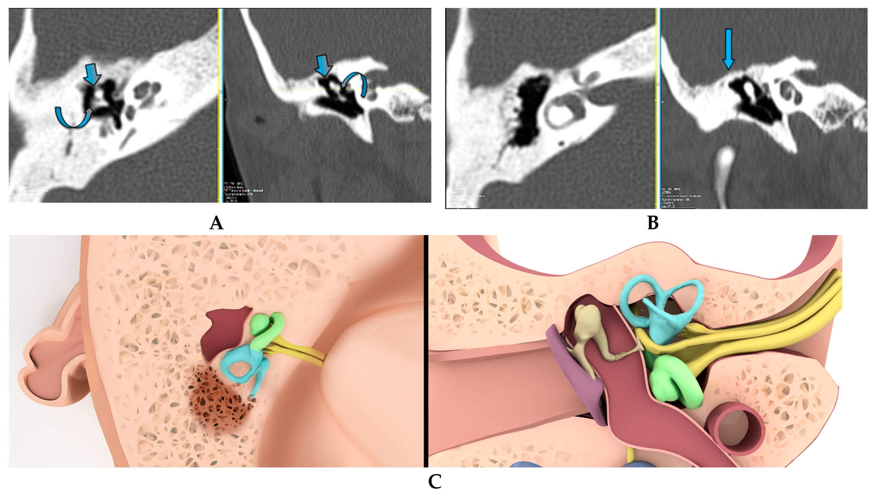 Tomography 09 00106 g001a