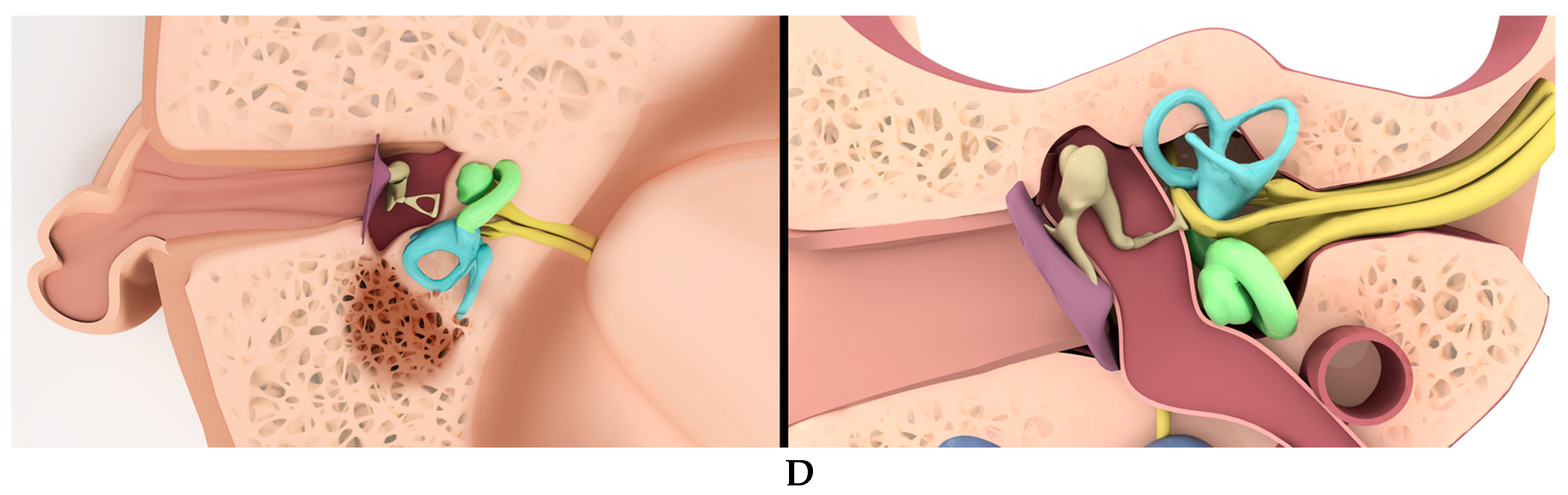 Tomography 09 00106 g001b