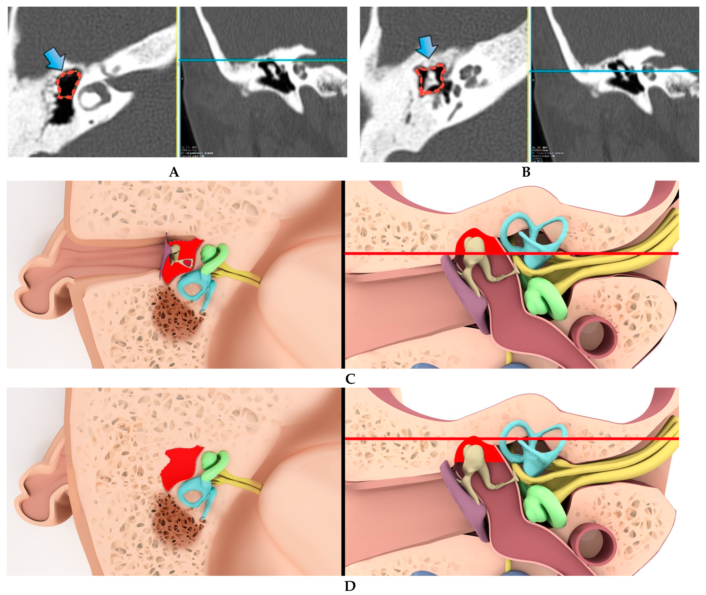 Tomography 09 00106 g002