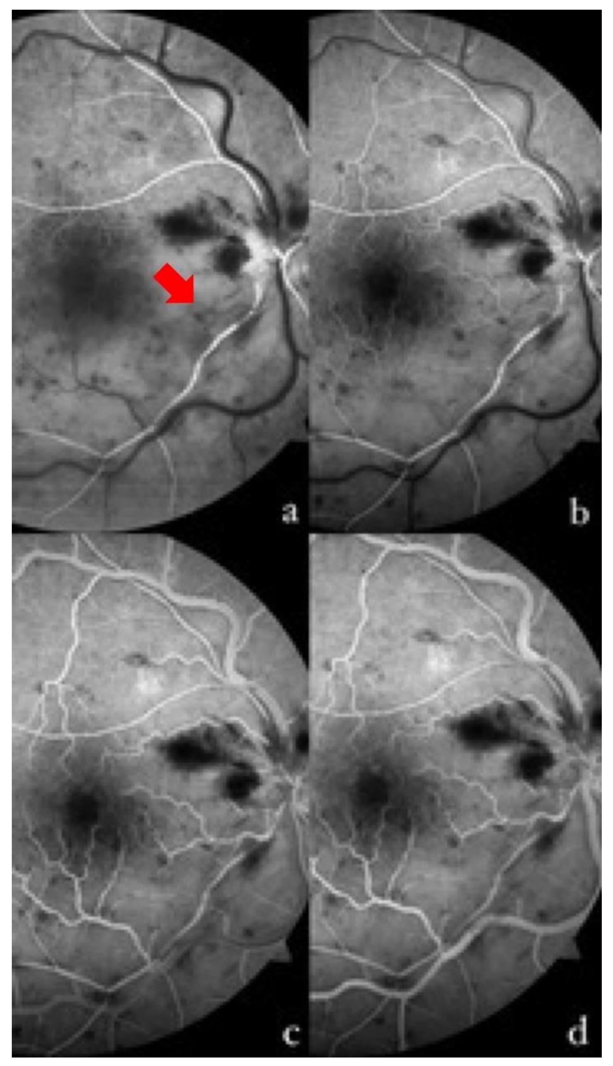 Tomography 09 00139 g001