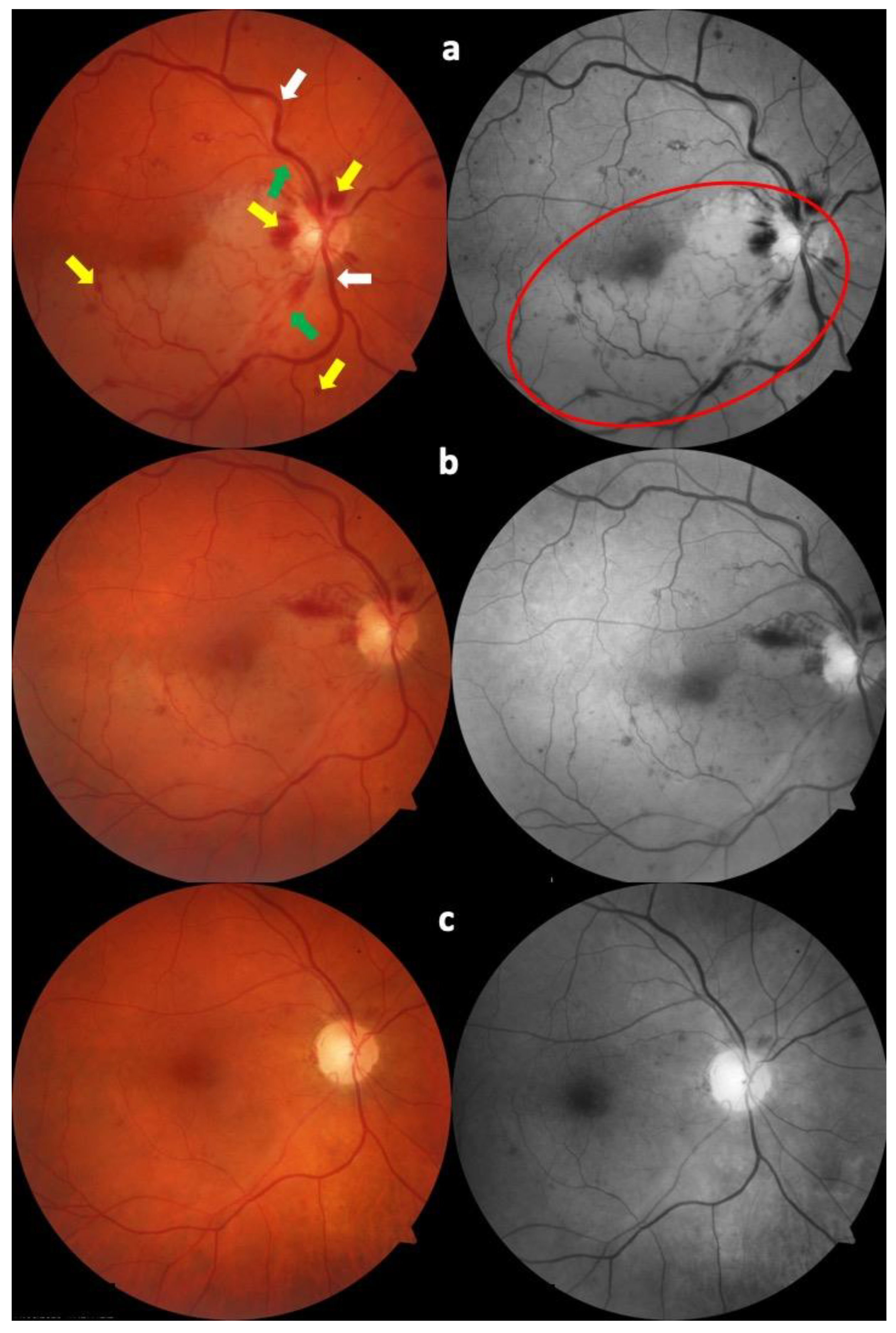 Tomography 09 00139 g002