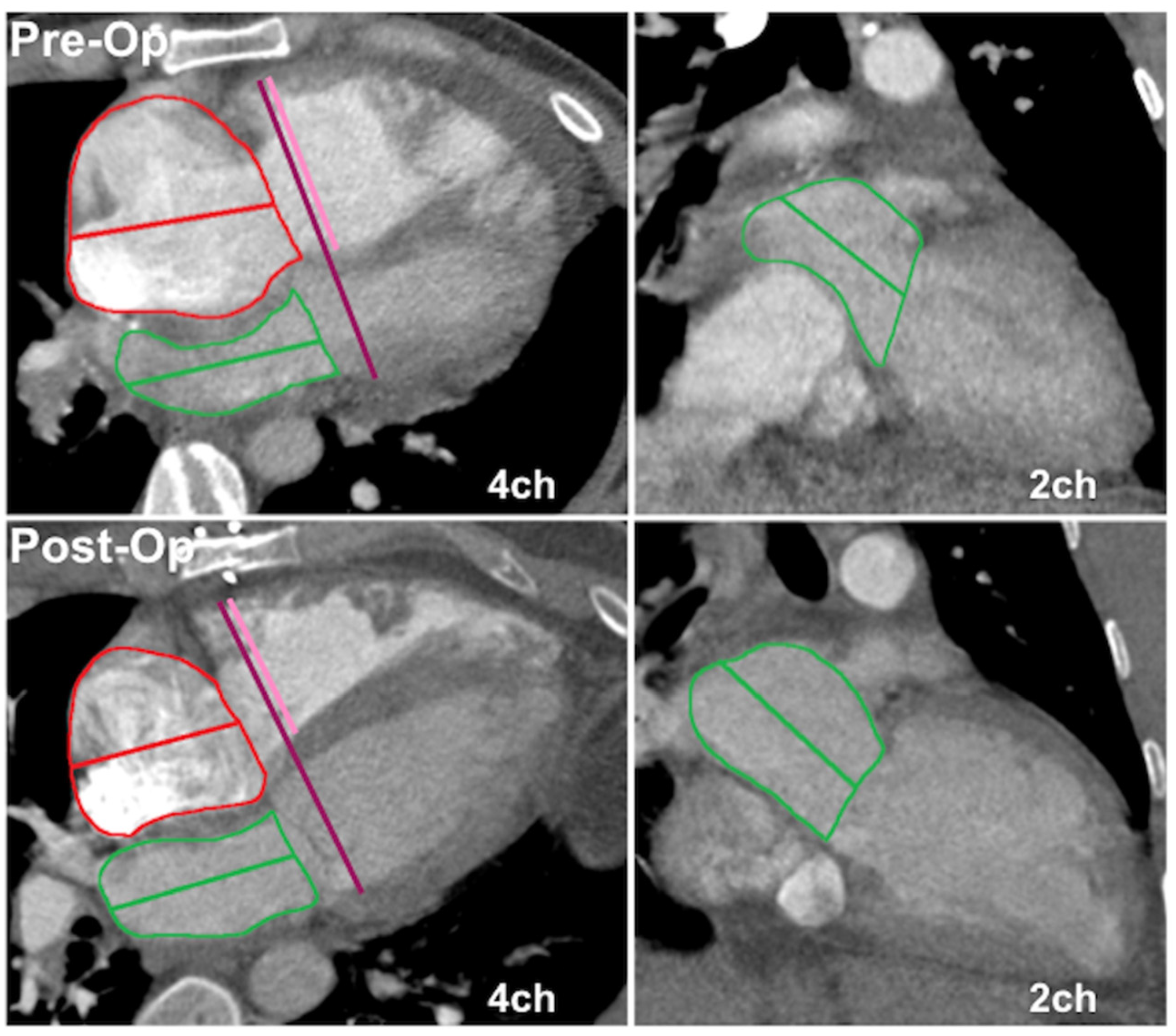 Tomography 09 00142 g001