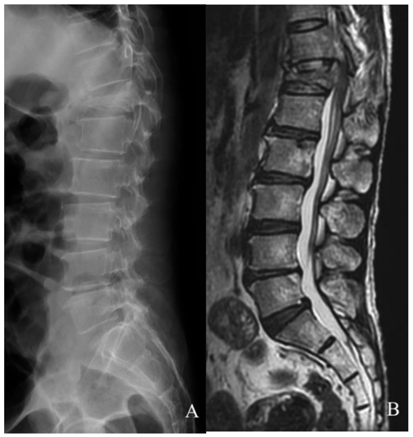 Tomography 09 00156 g001