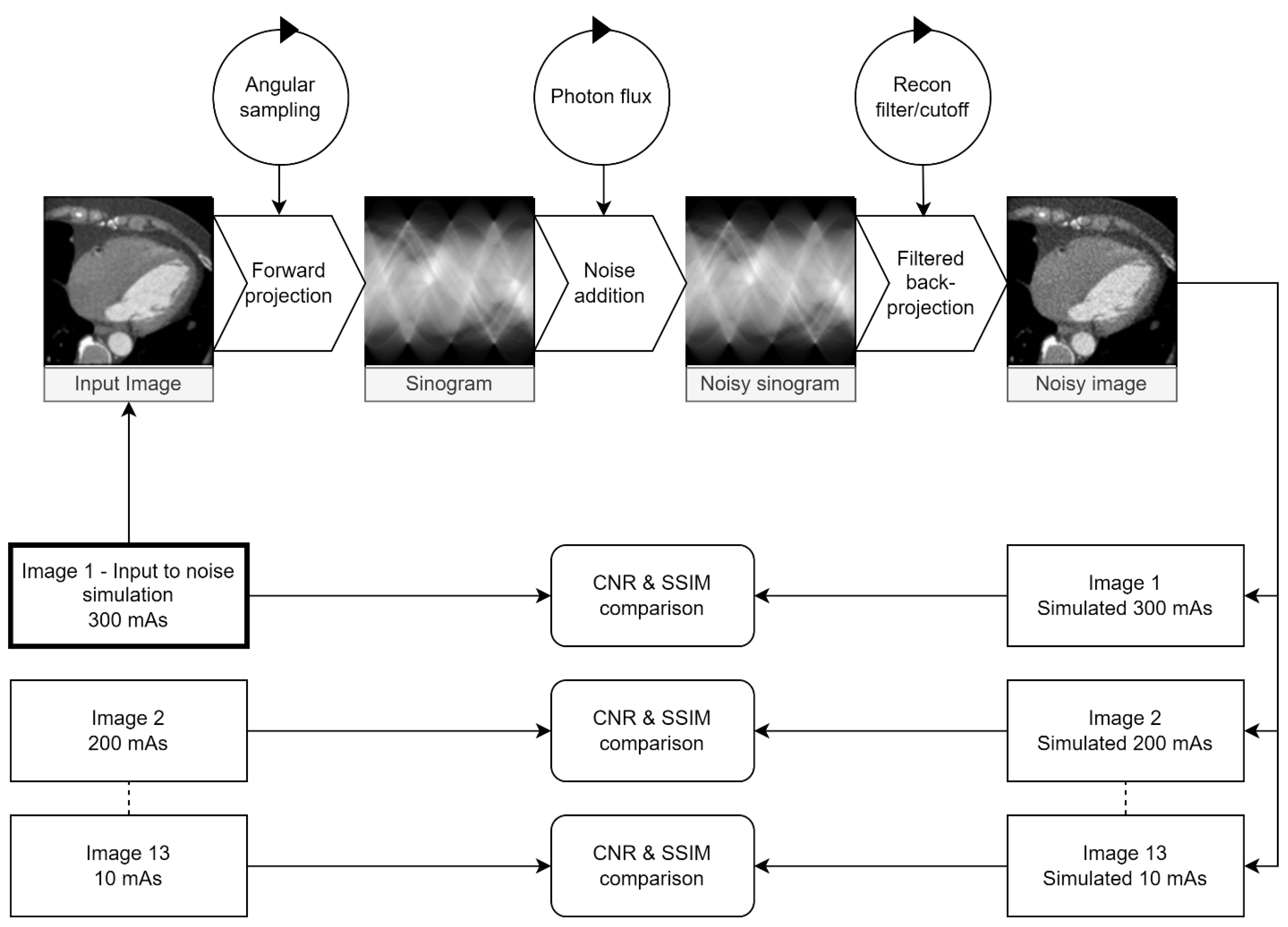 Tomography 09 00164 g001