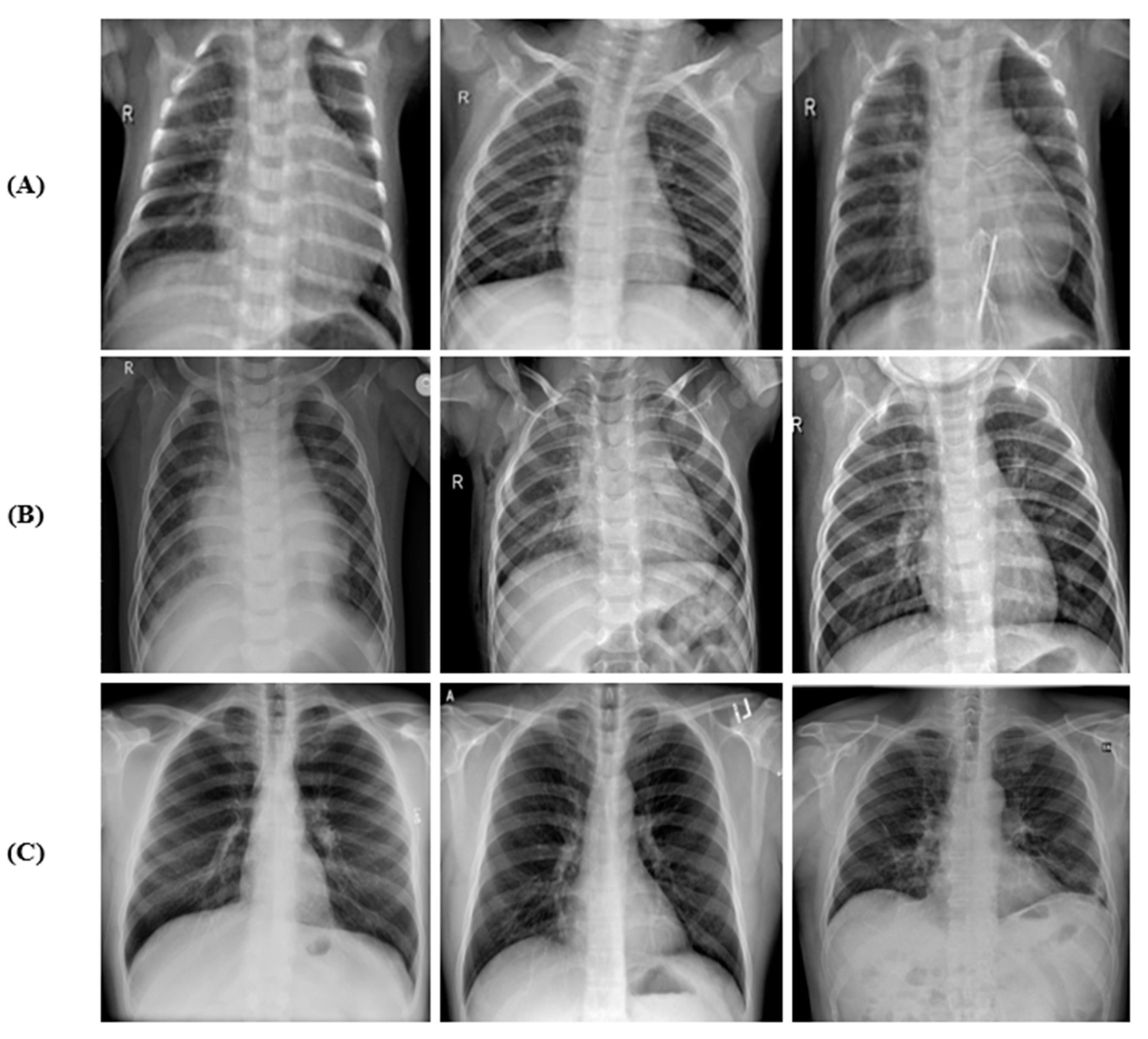 Tomography 09 00173 g001