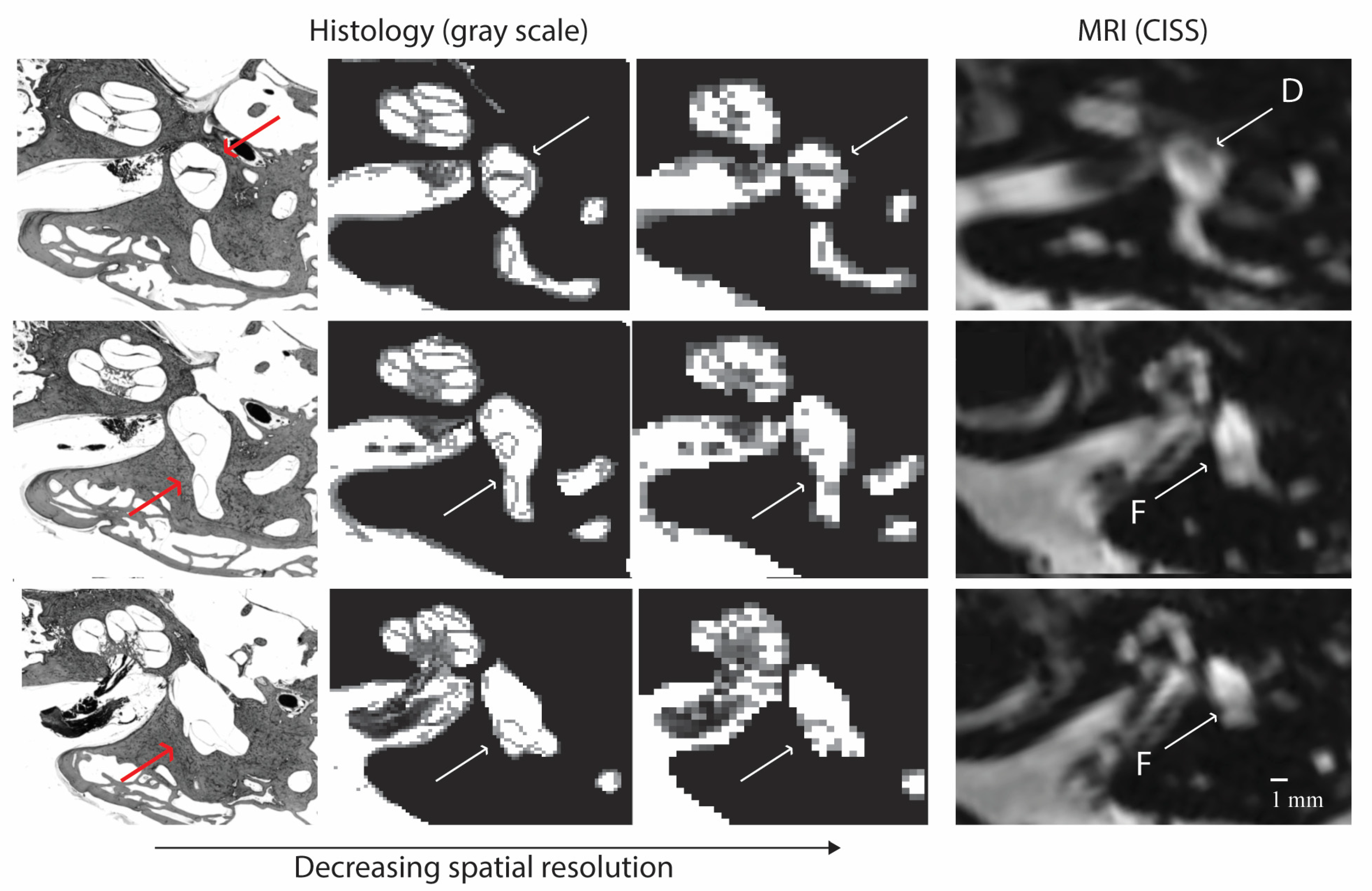 Tomography 10 00016 g007 Tomography 10 00016 g007