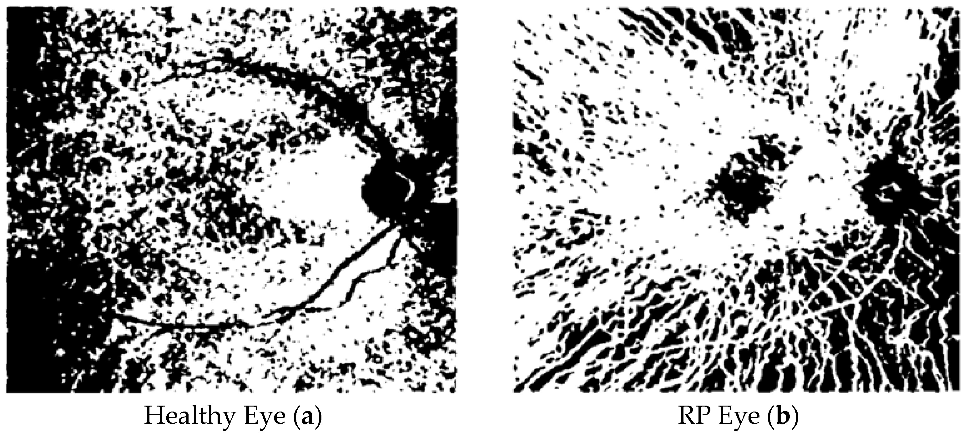 Tomography 10 00037 g002
