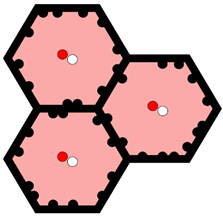 Tomography 10 00045 i002 Tomography 10 00045 i002