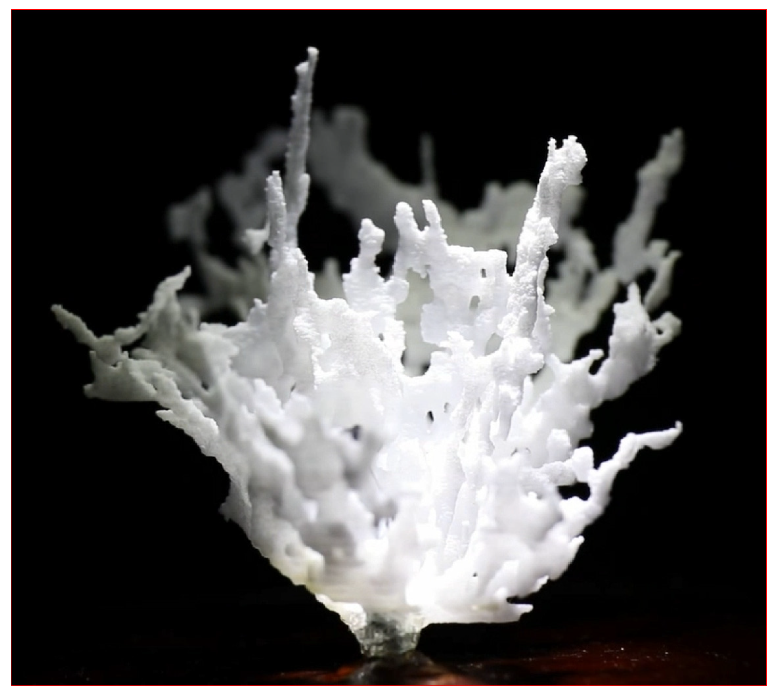 Tomography 10 00060 g001