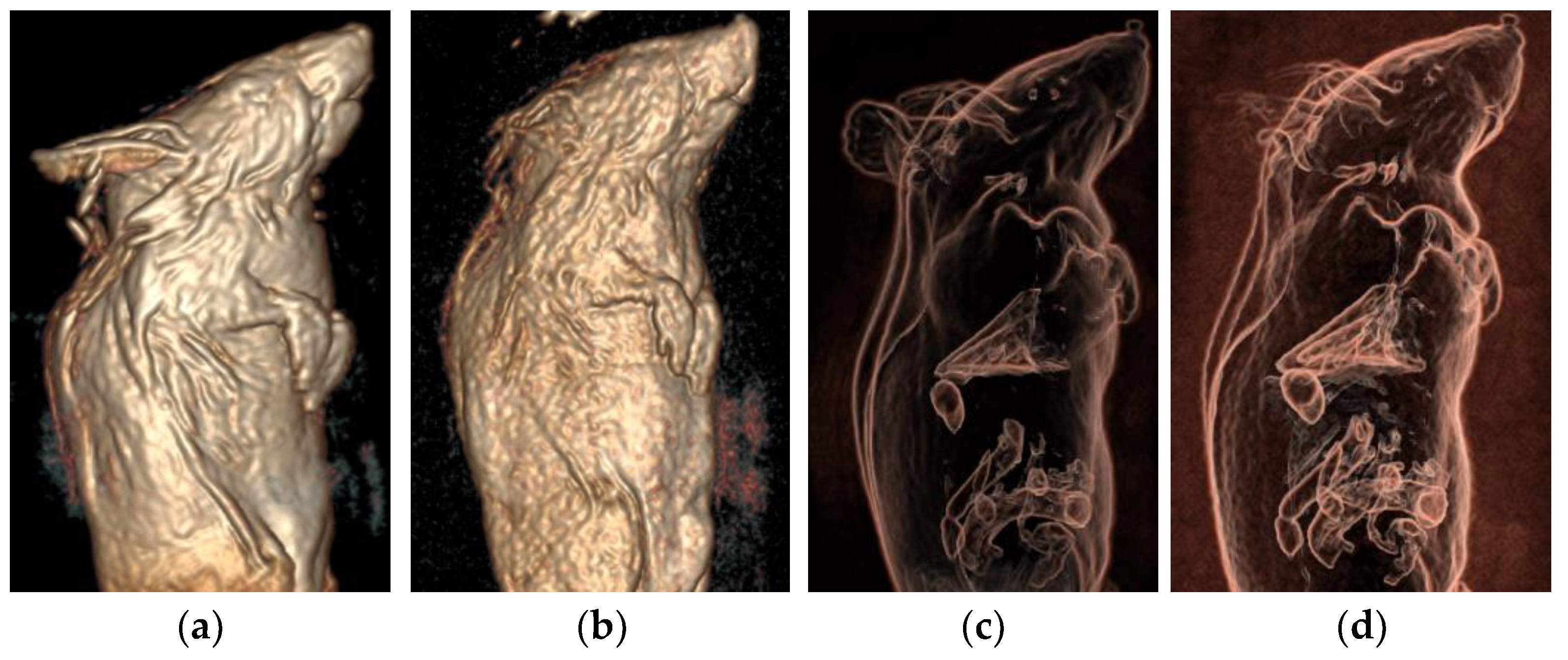 Tomography 10 00064 g006