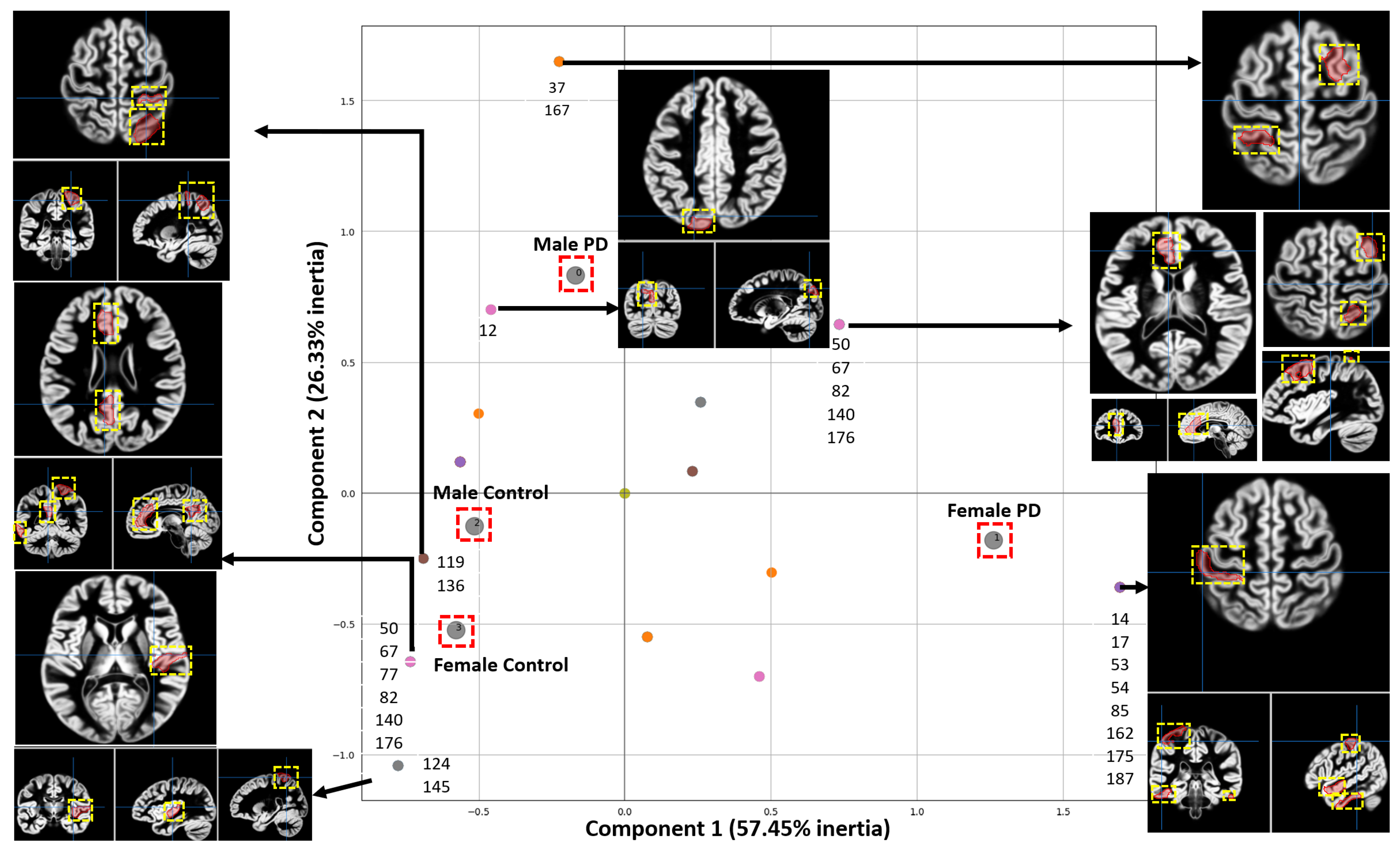 Tomography 10 00068 g005