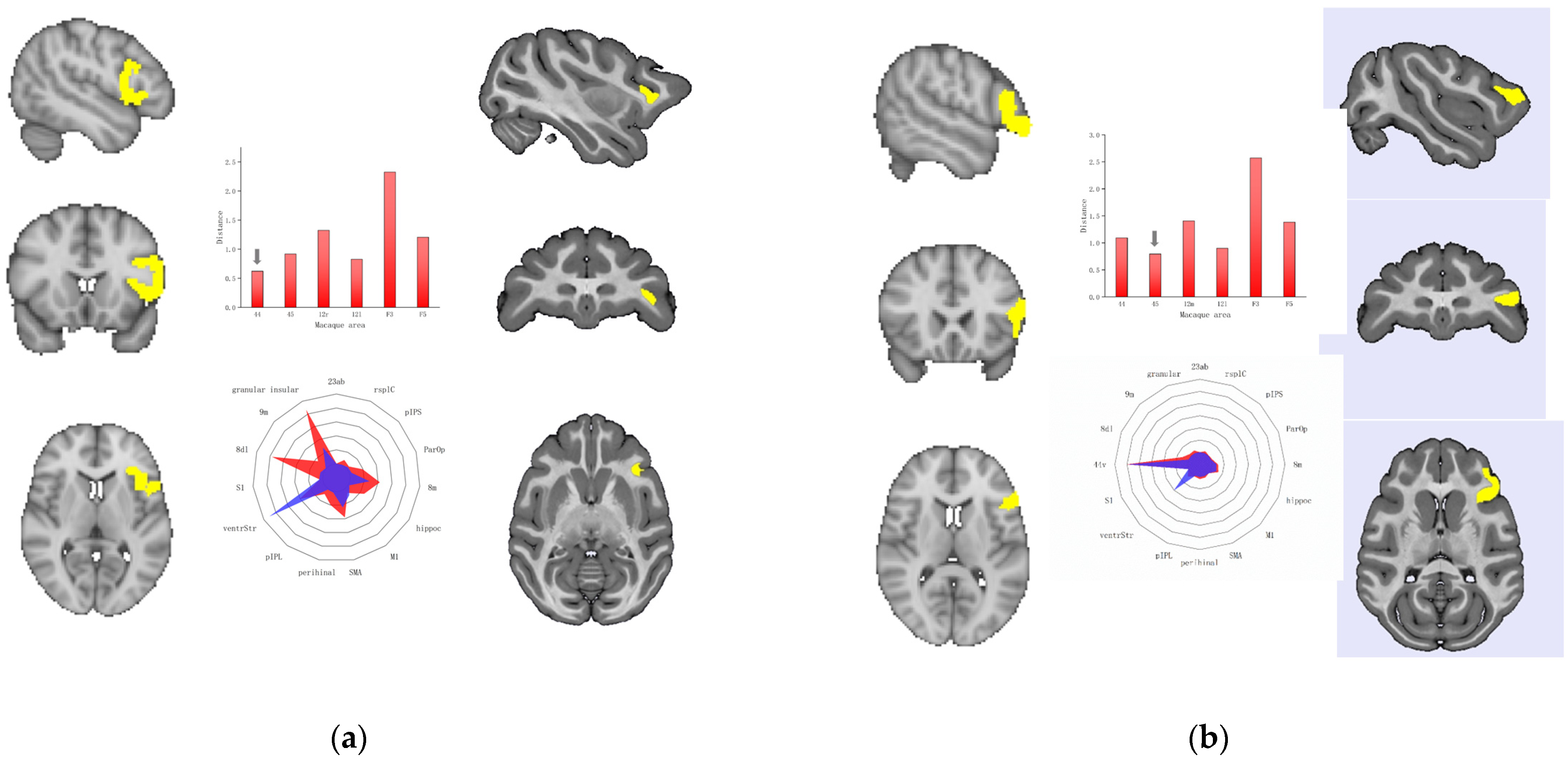 Tomography 10 00082 g001