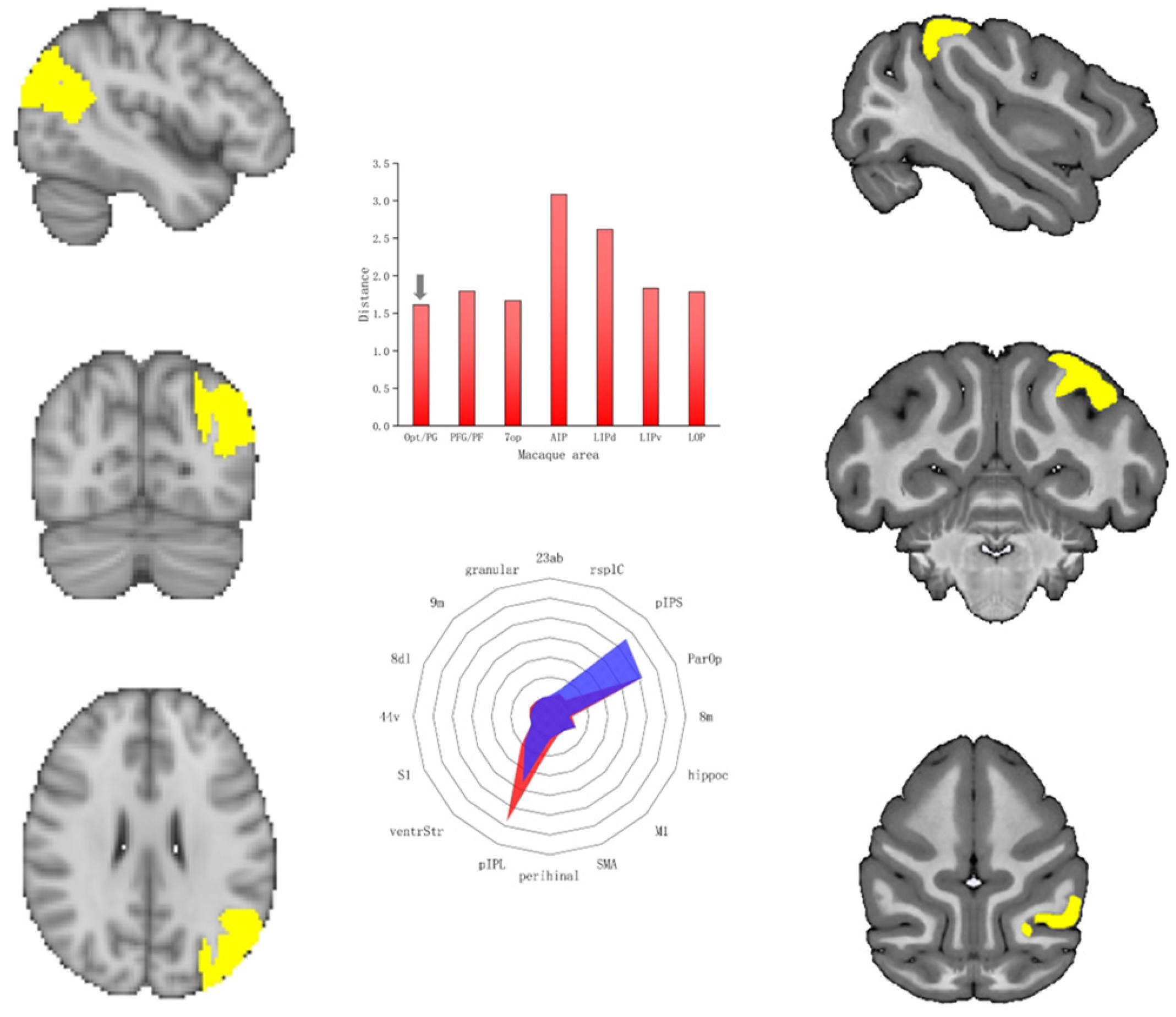 Tomography 10 00082 g002