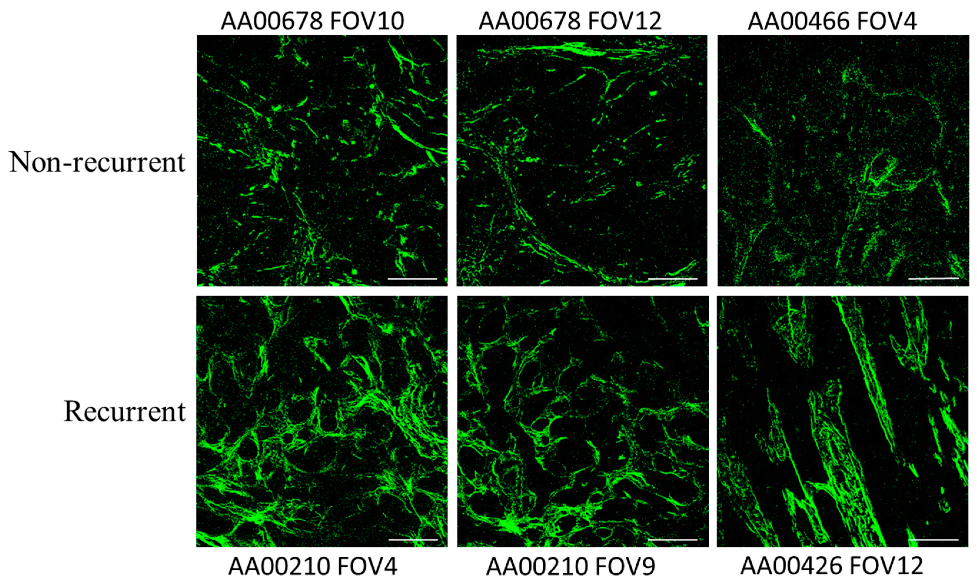 Tomography 10 00083 g001 Tomography 10 00083 g001