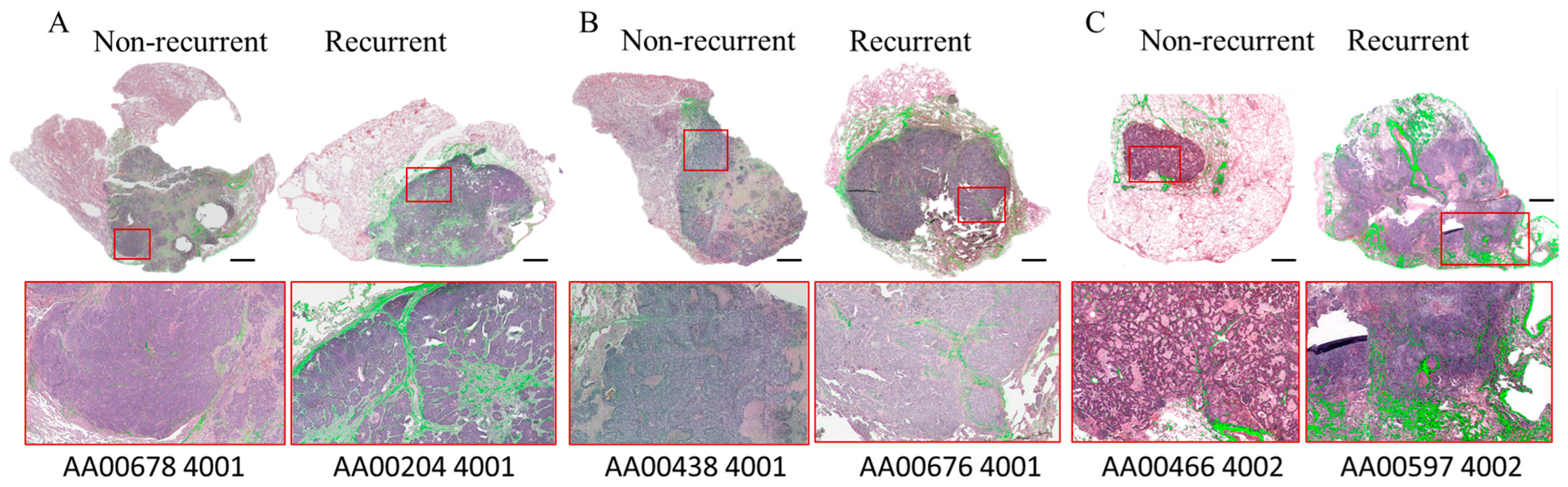 Tomography 10 00083 g003 Tomography 10 00083 g003