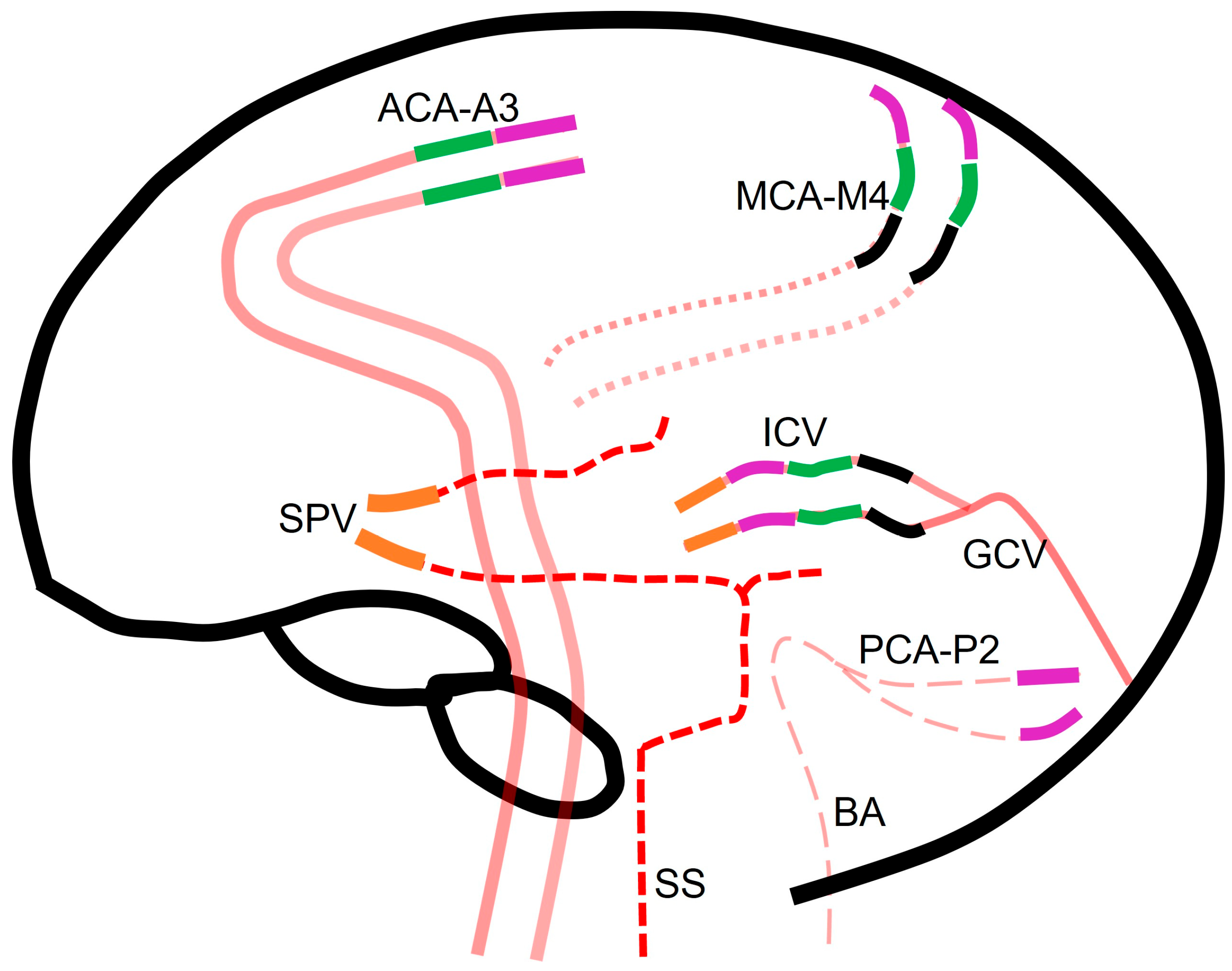 Tomography 10 00086 g002