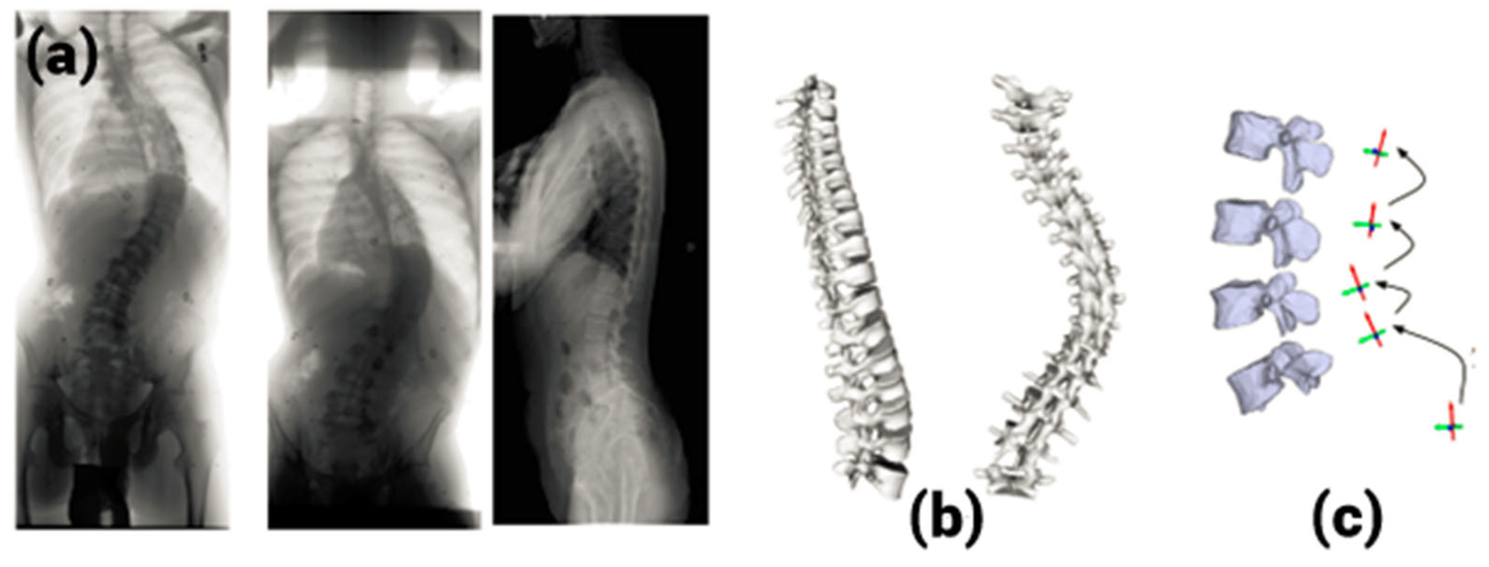 Tomography 10 00090 g001