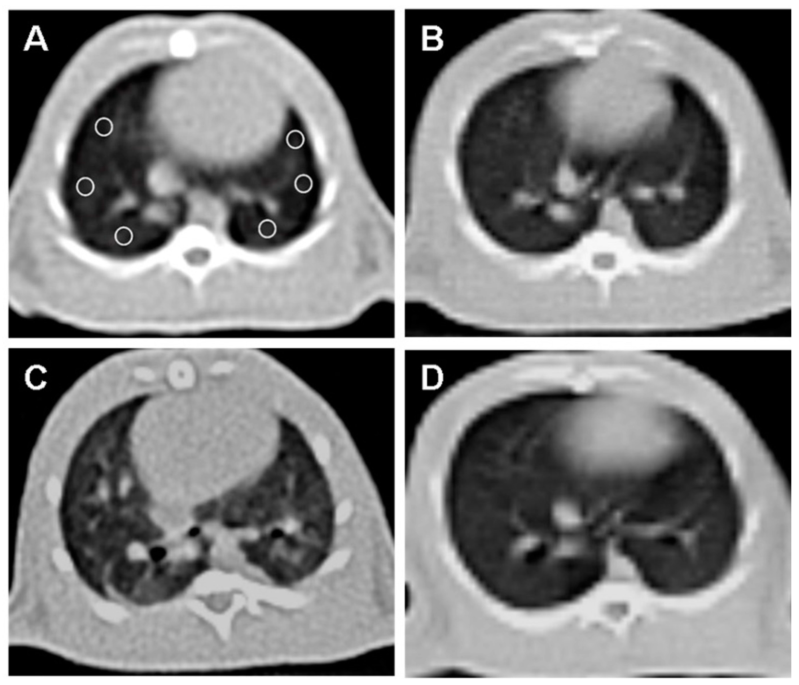 Tomography 10 00101 g002 Tomography 10 00101 g002