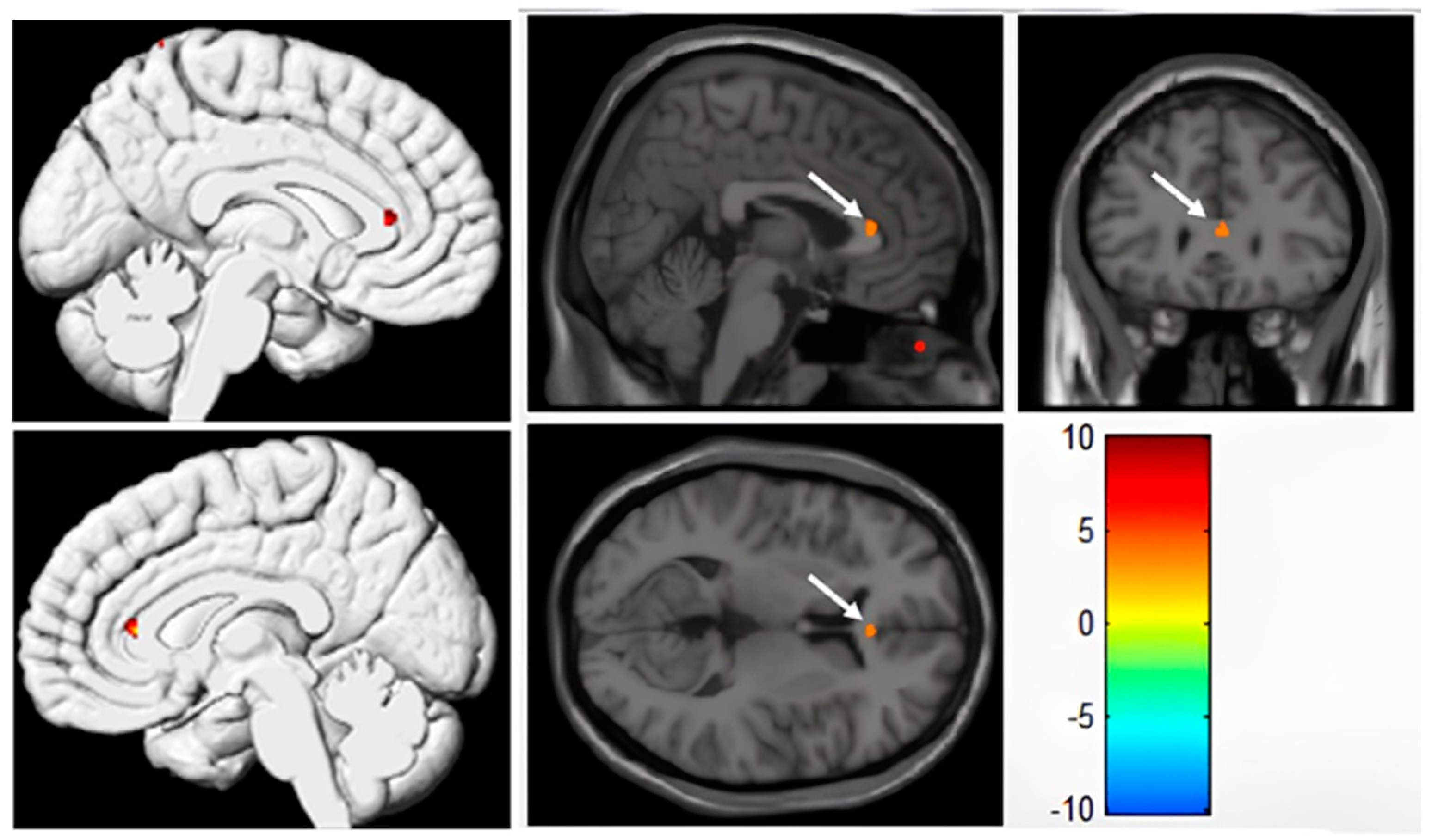 Tomography 10 00104 g007