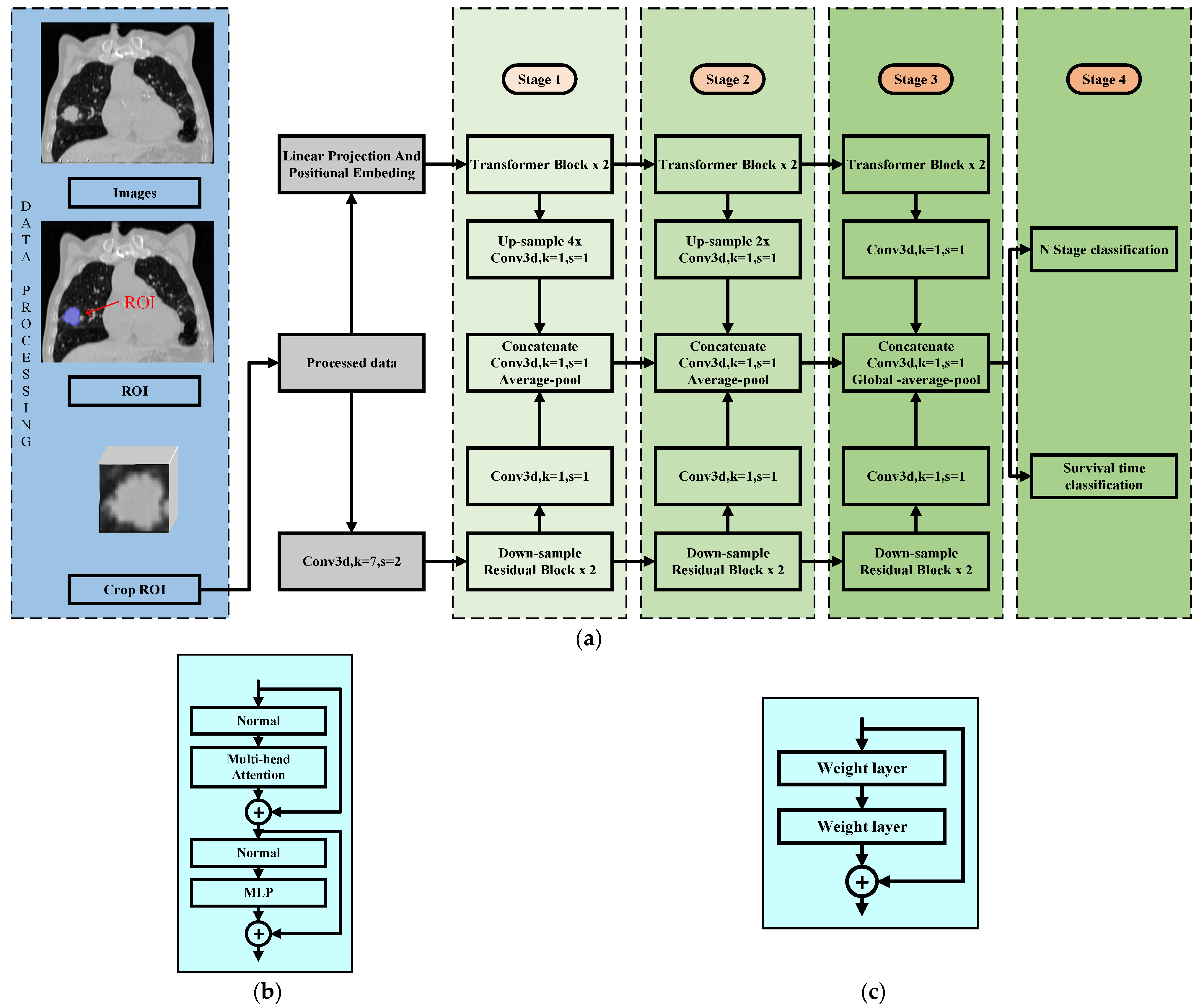Tomography 10 00123 g001