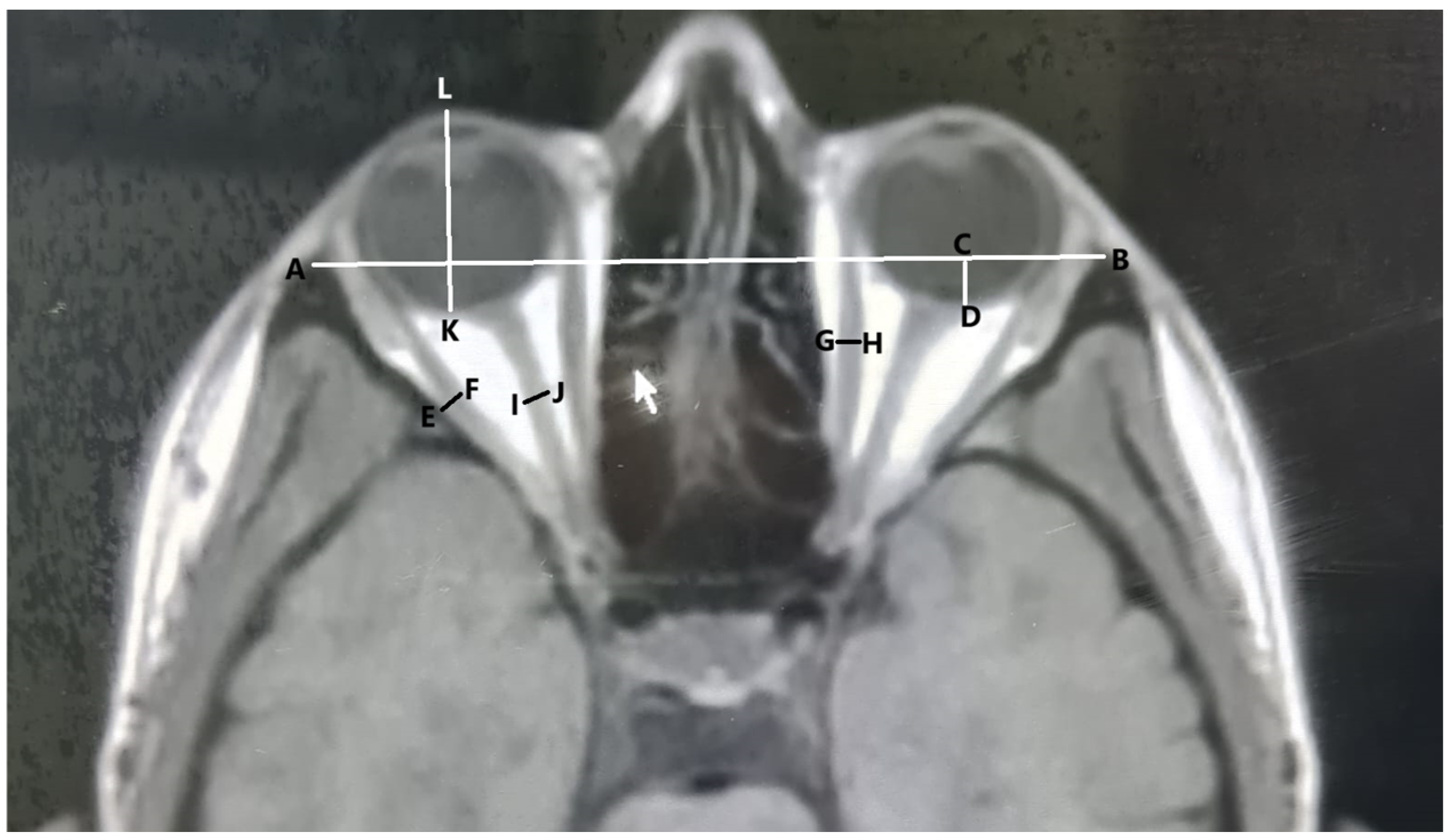 Tomography 10 00125 g001