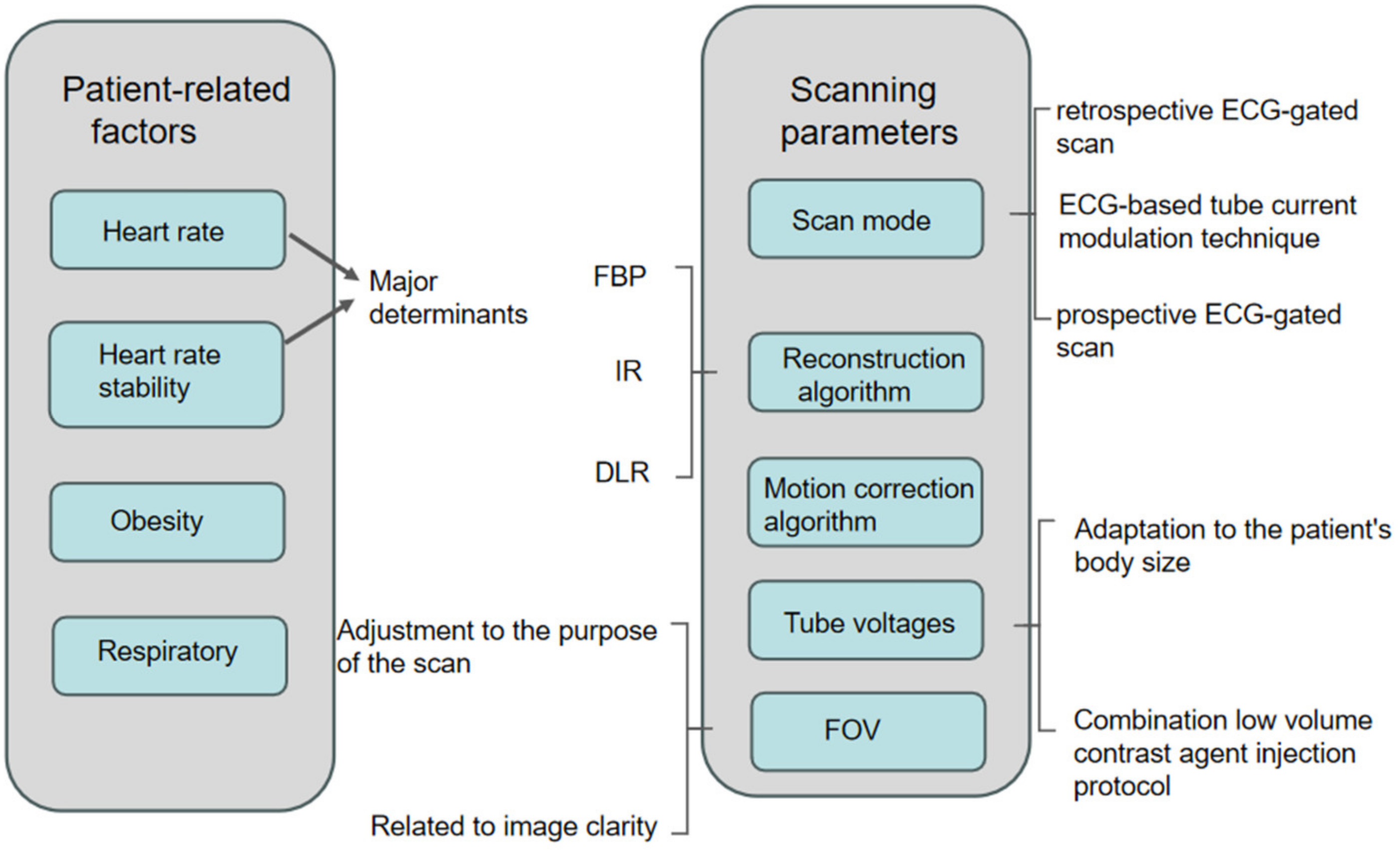 Tomography 10 00127 g001