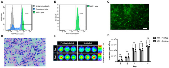 A Comparison of the Sensitivity and Cellular Detection