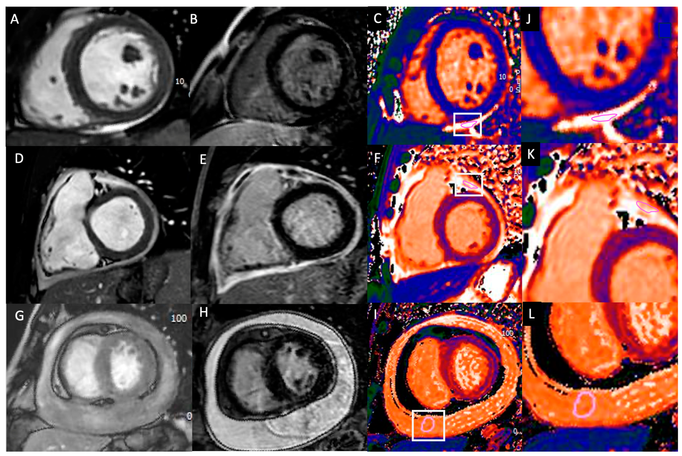 Tomography 10 00137 g002