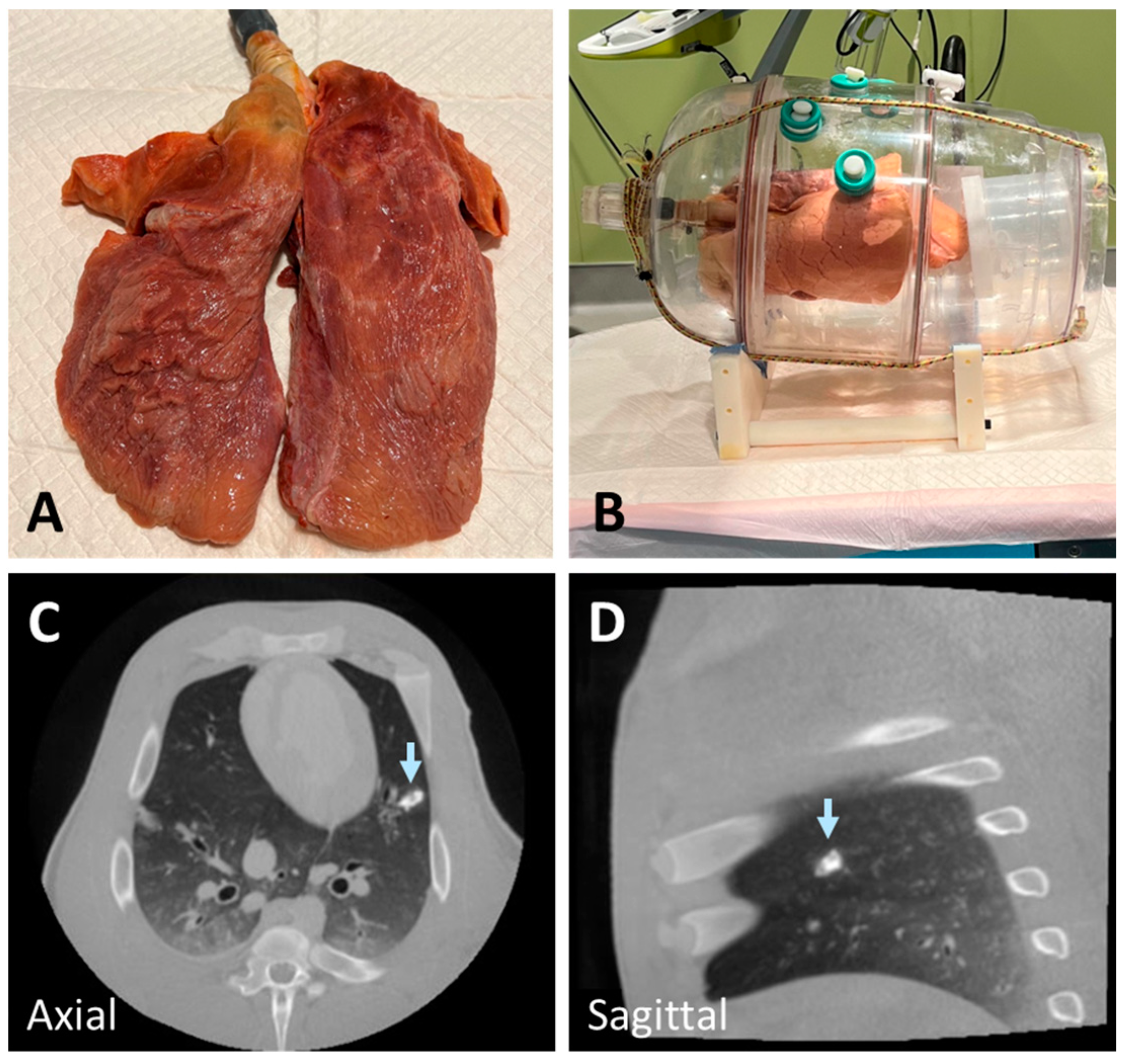 Tomography 10 00142 g001