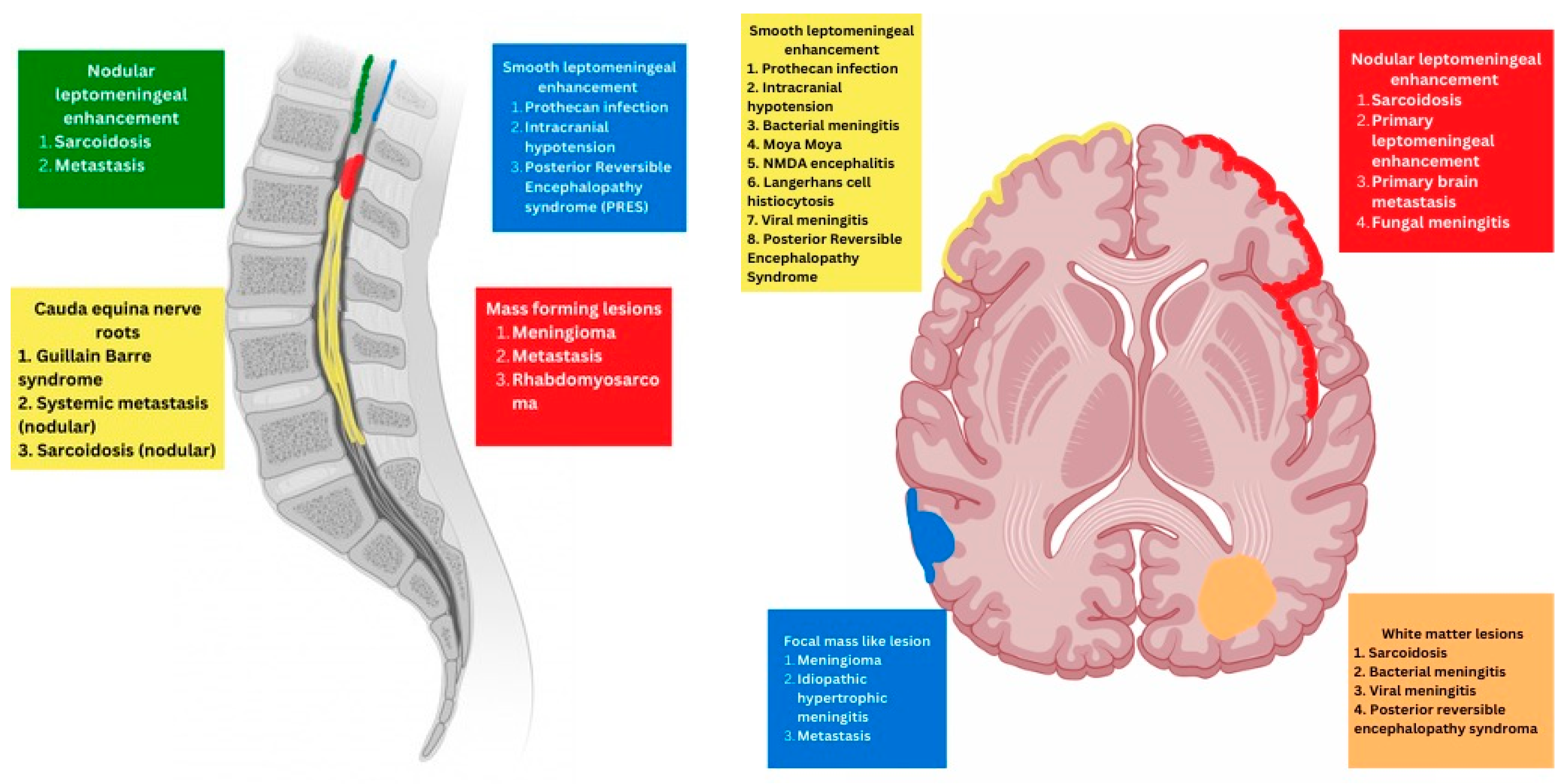 Tomography 10 00143 g001
