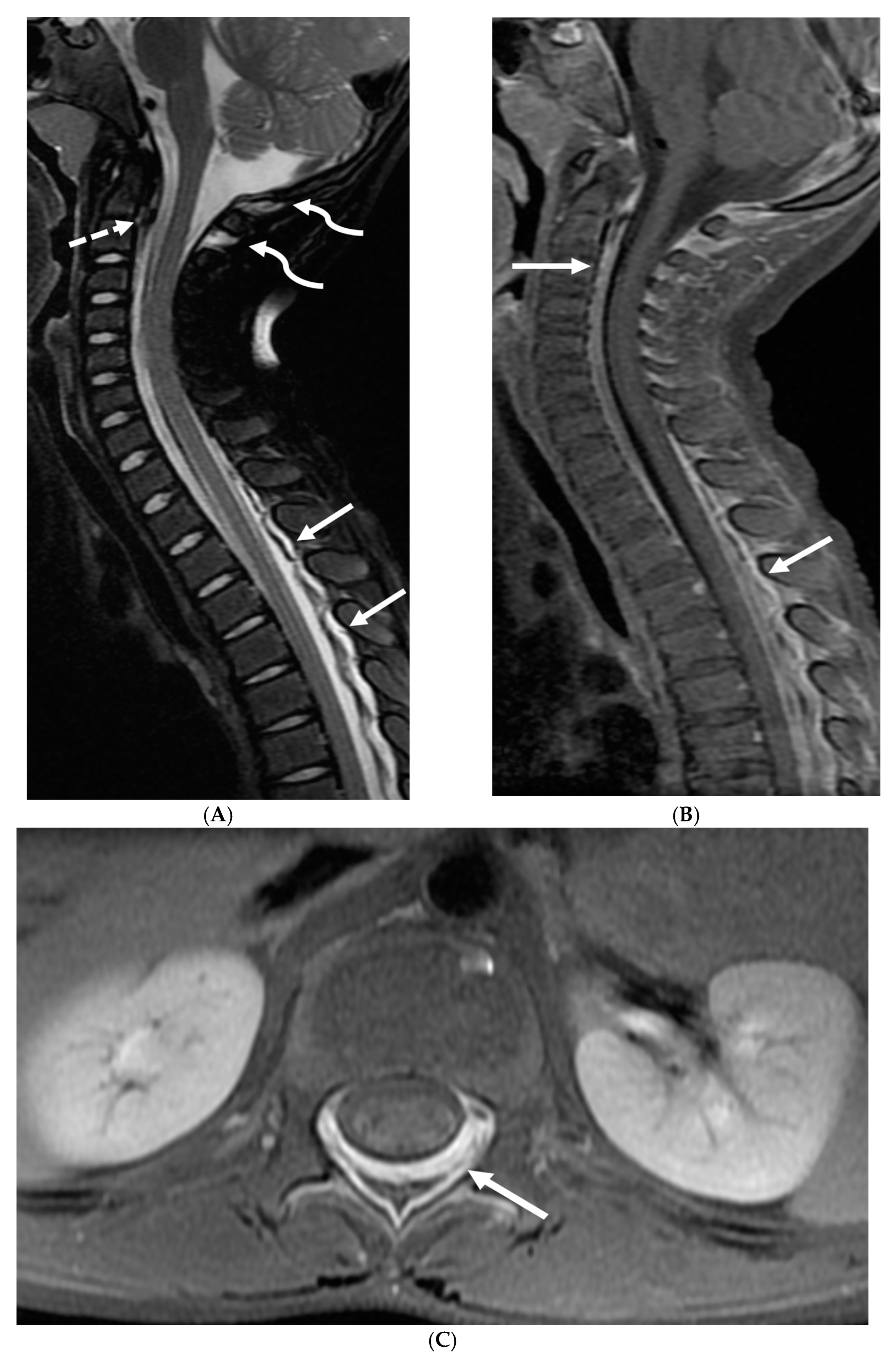Tomography 10 00143 g009