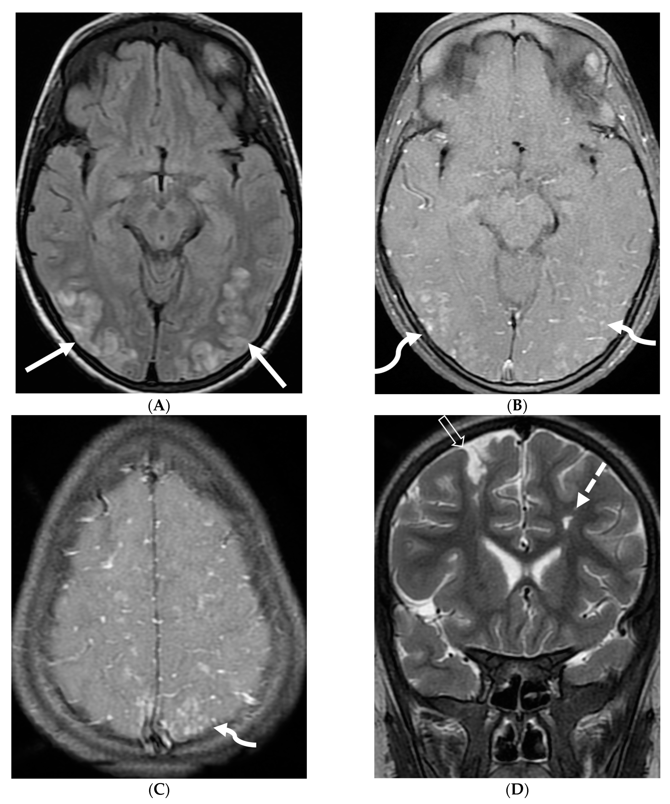 Tomography 10 00143 g024