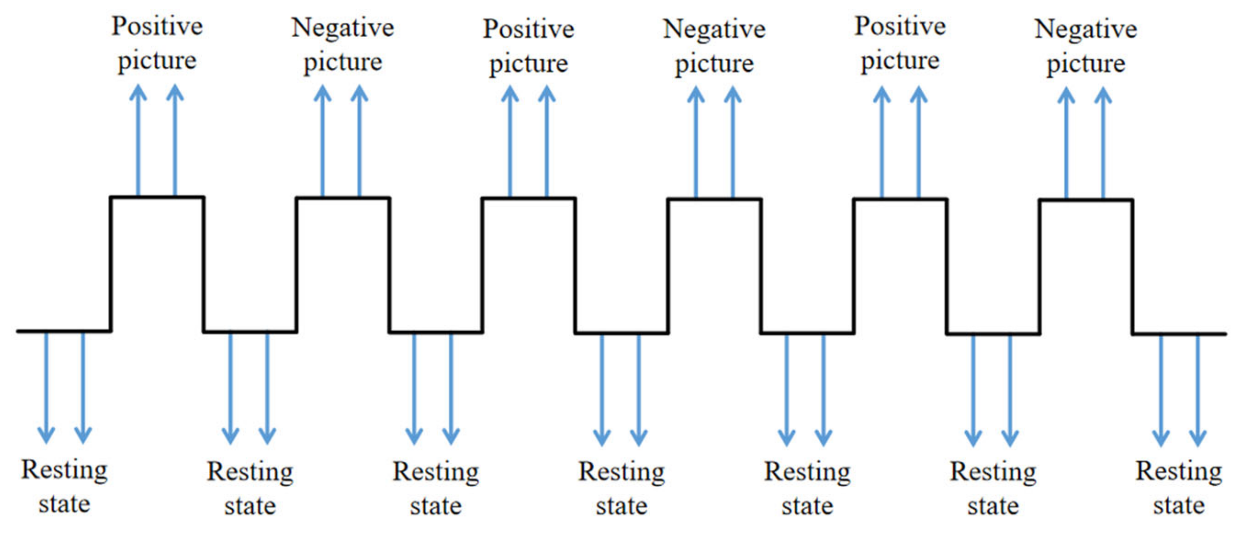 Tomography 10 00144 g001