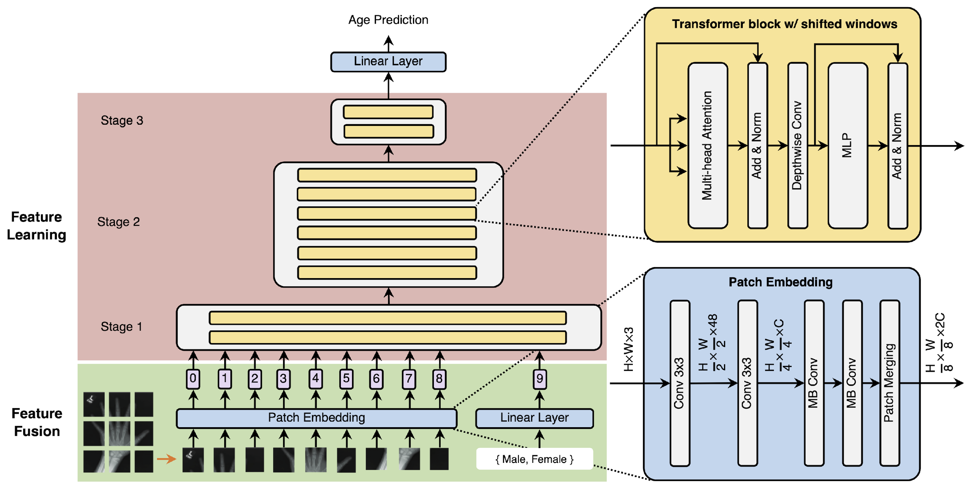 Tomography 10 00146 g002