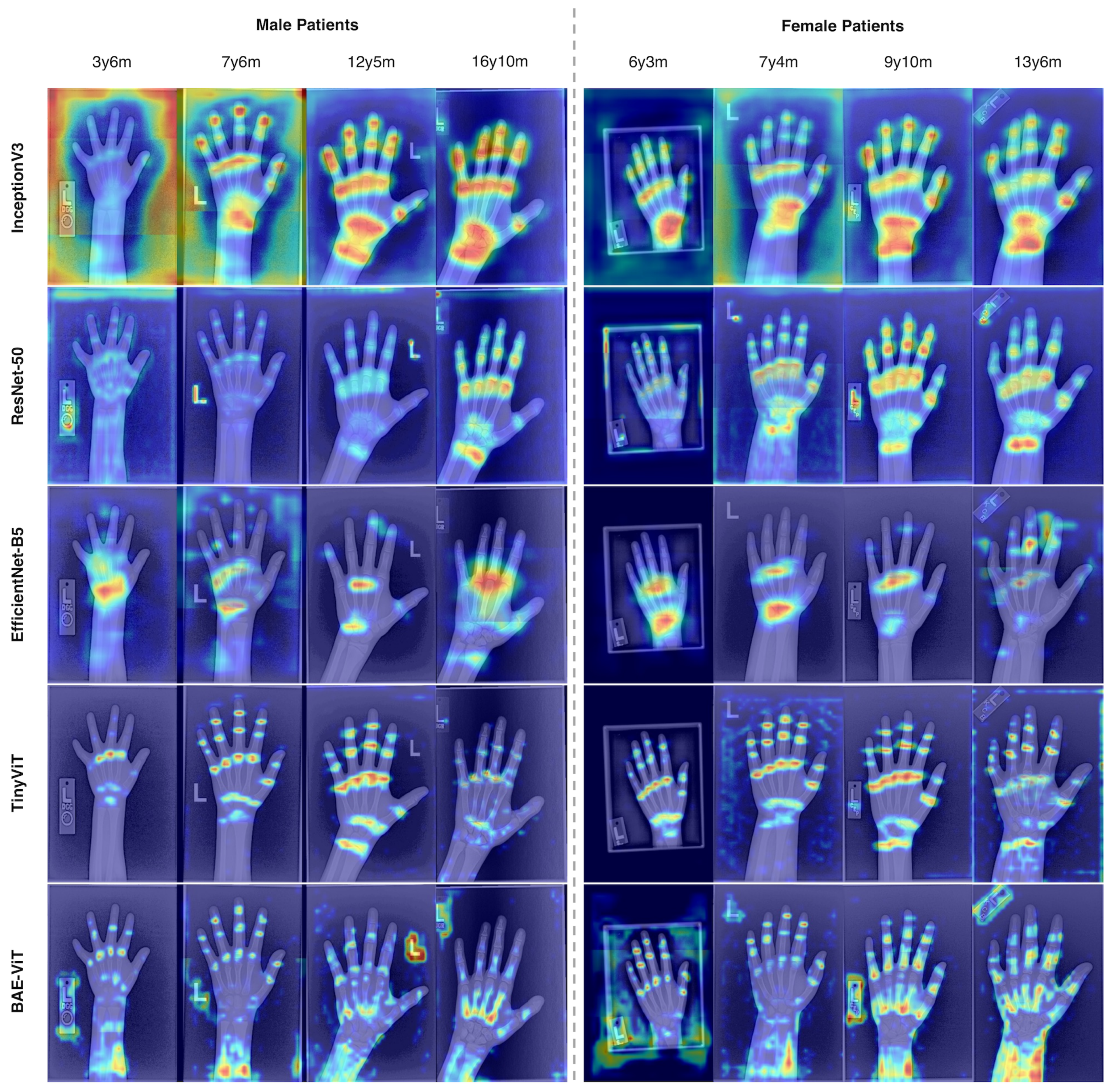 Tomography 10 00146 g003