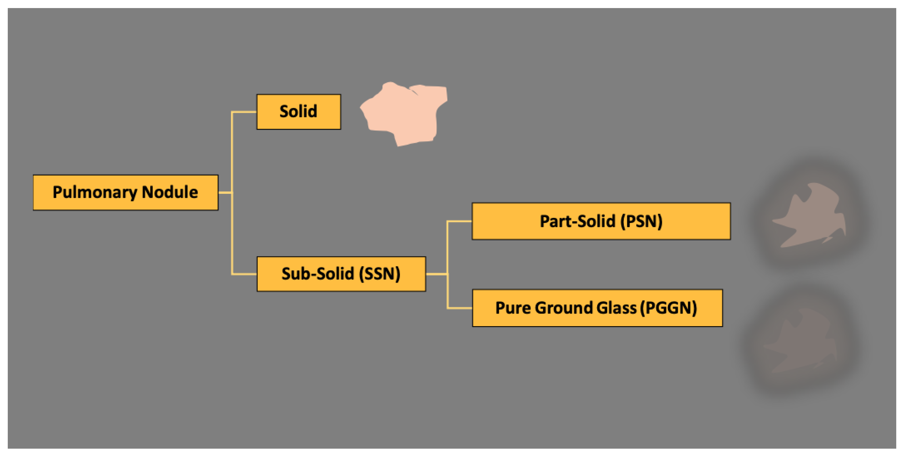 Tomography 10 00148 g001