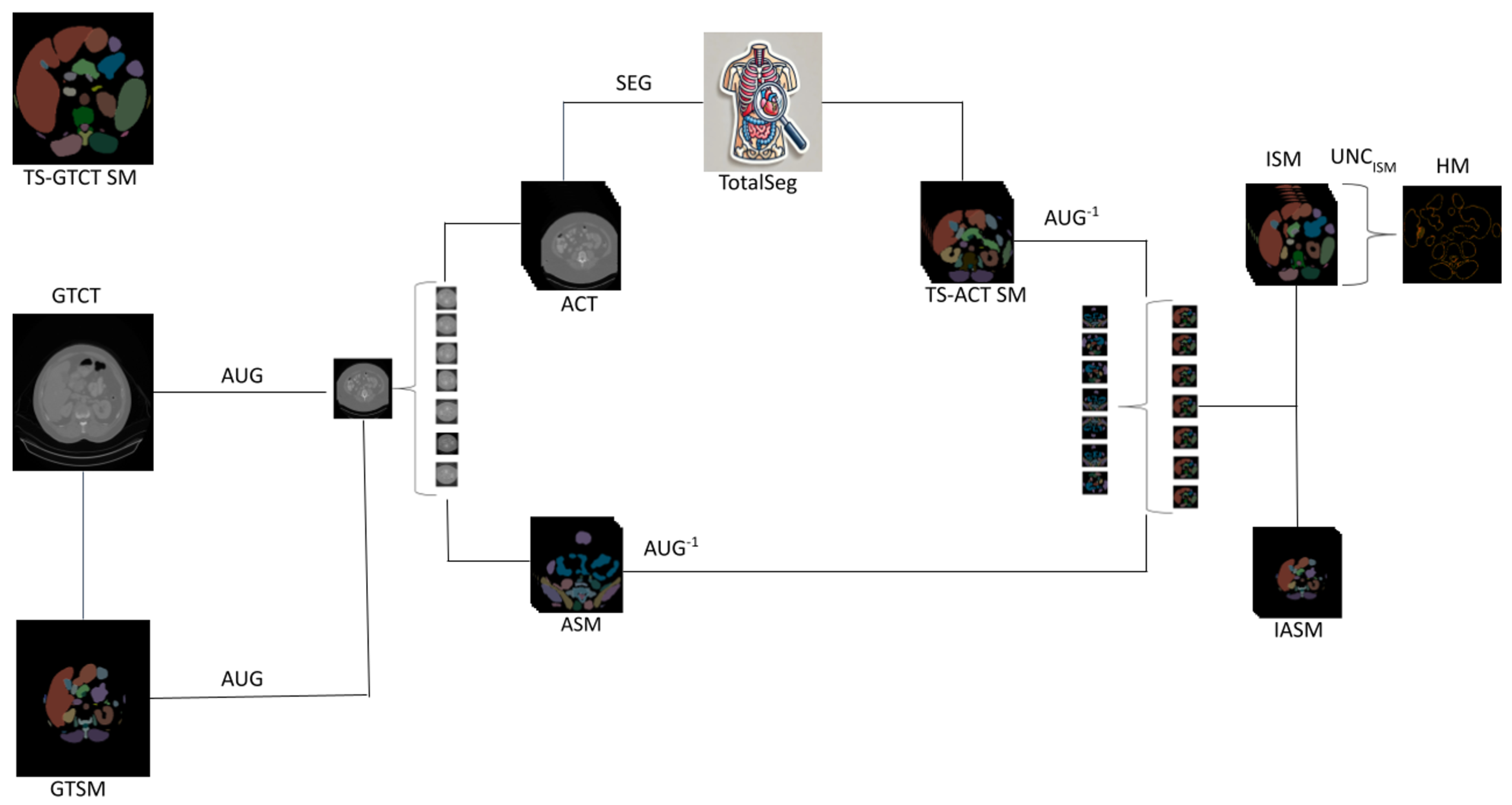 Tomography 10 00150 g001