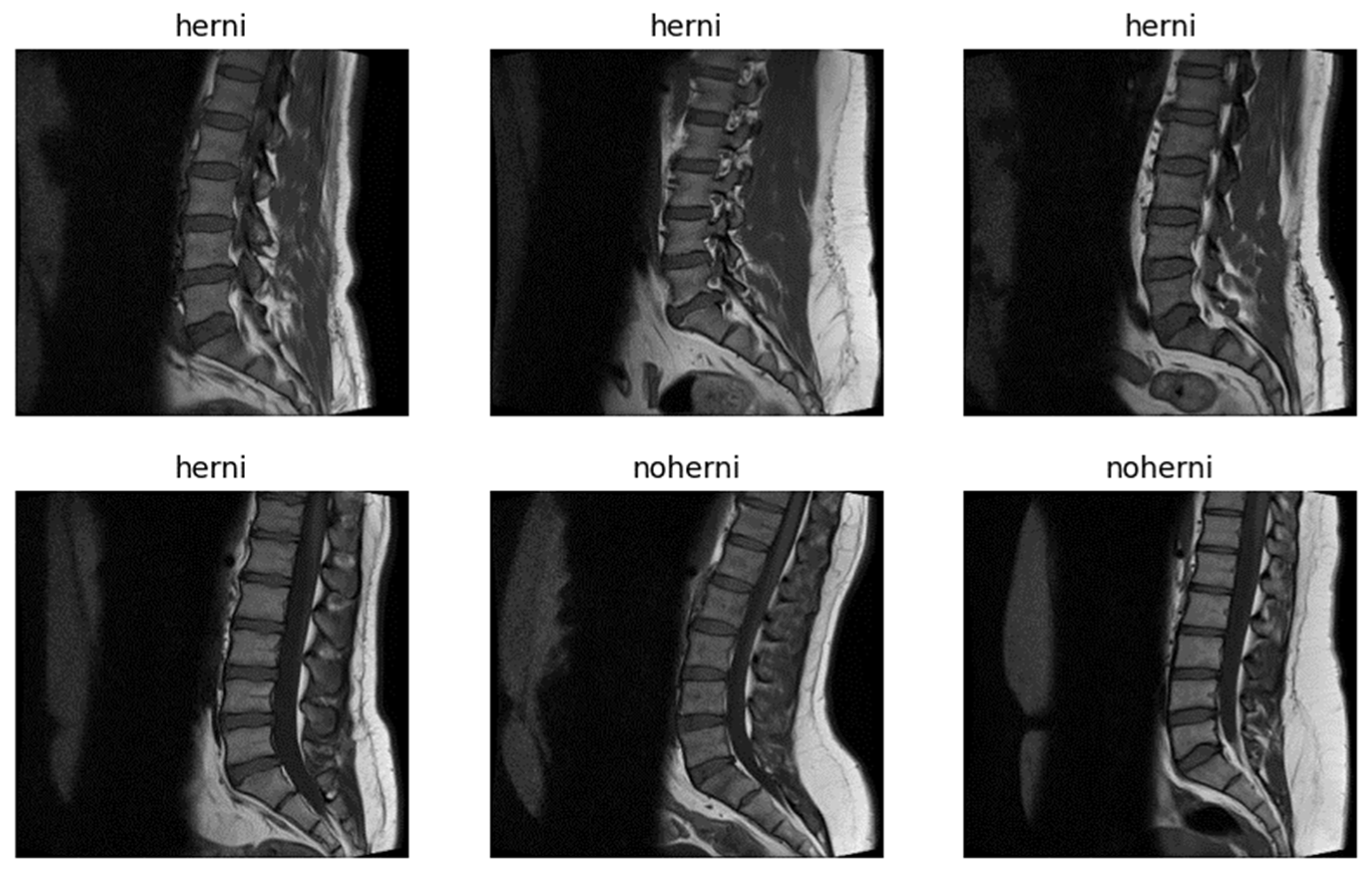 Tomography 11 00001 g002