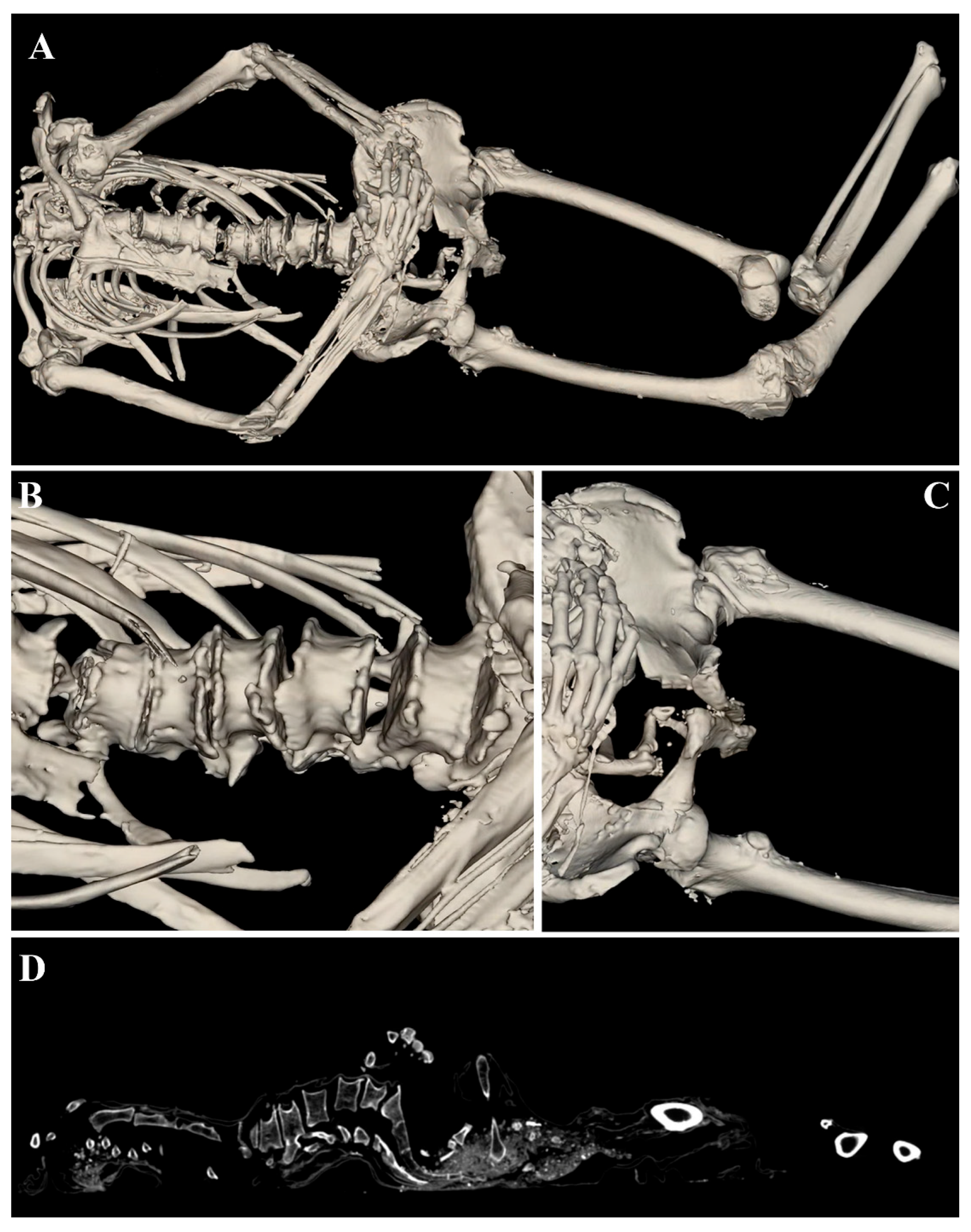 Tomography 11 00005 g005