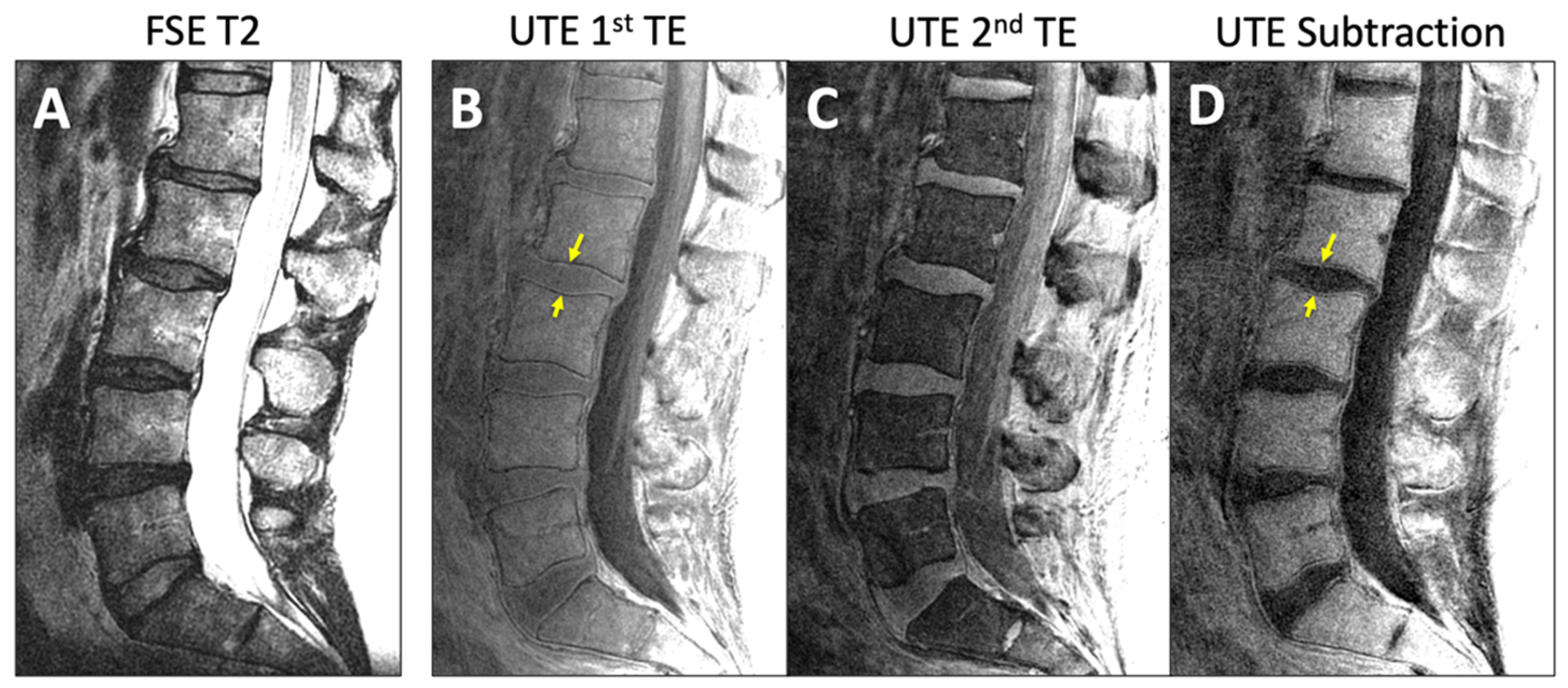 Tomography 11 00012 g001