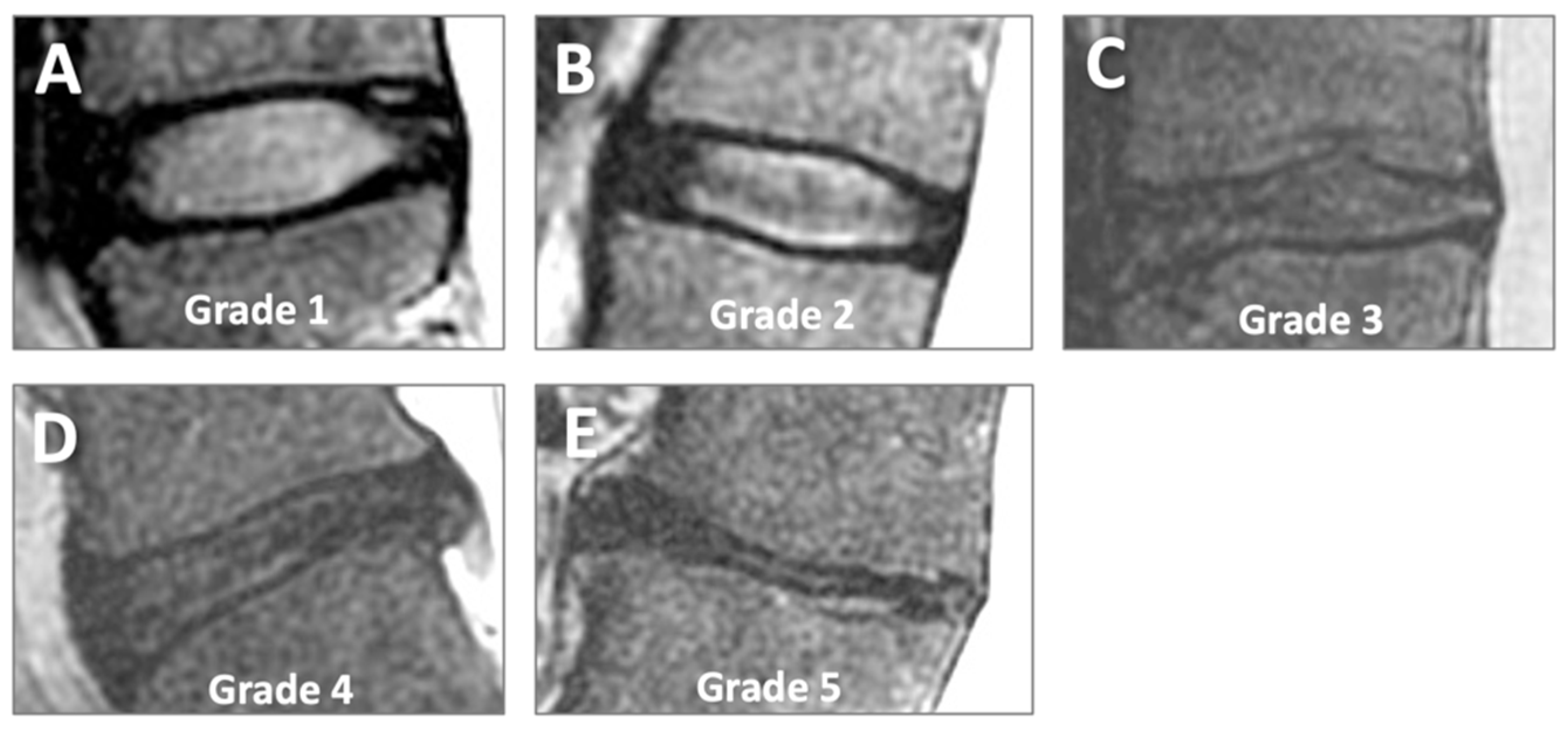 Tomography 11 00012 g003