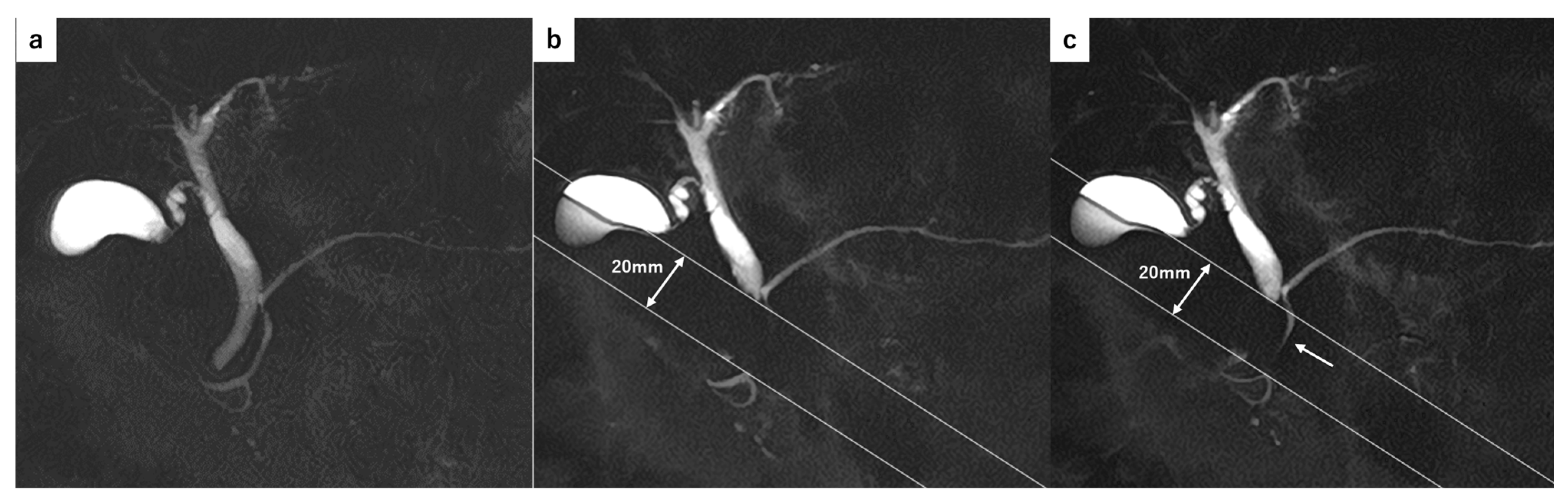 Tomography 11 00016 g001