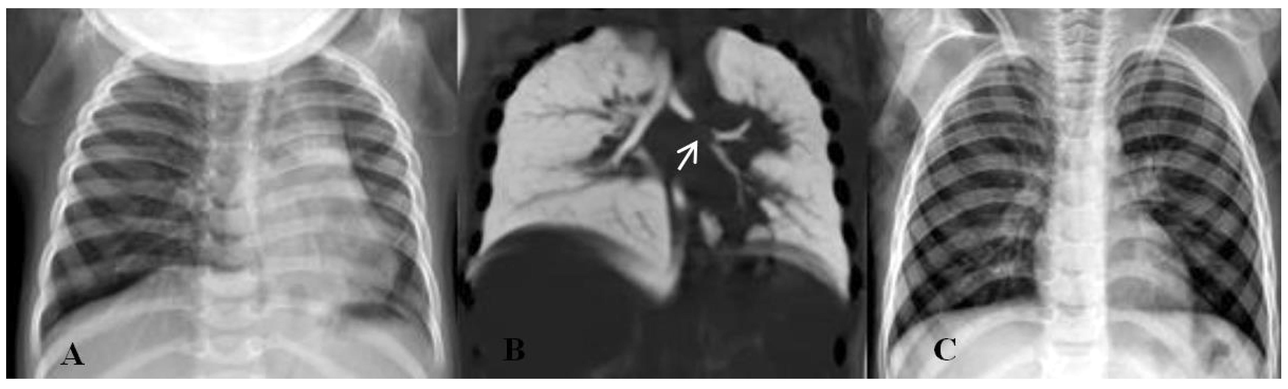 Tomography 11 00017 g002