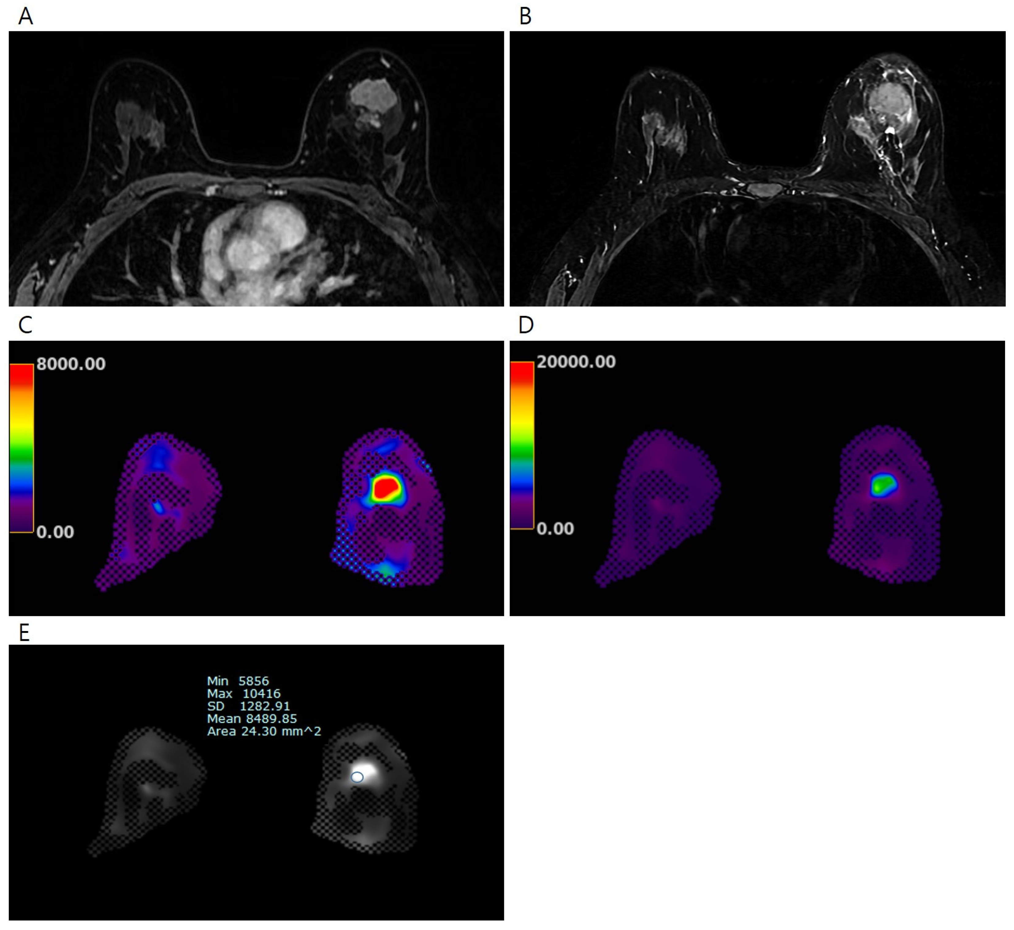 Tomography 11 00018 g001