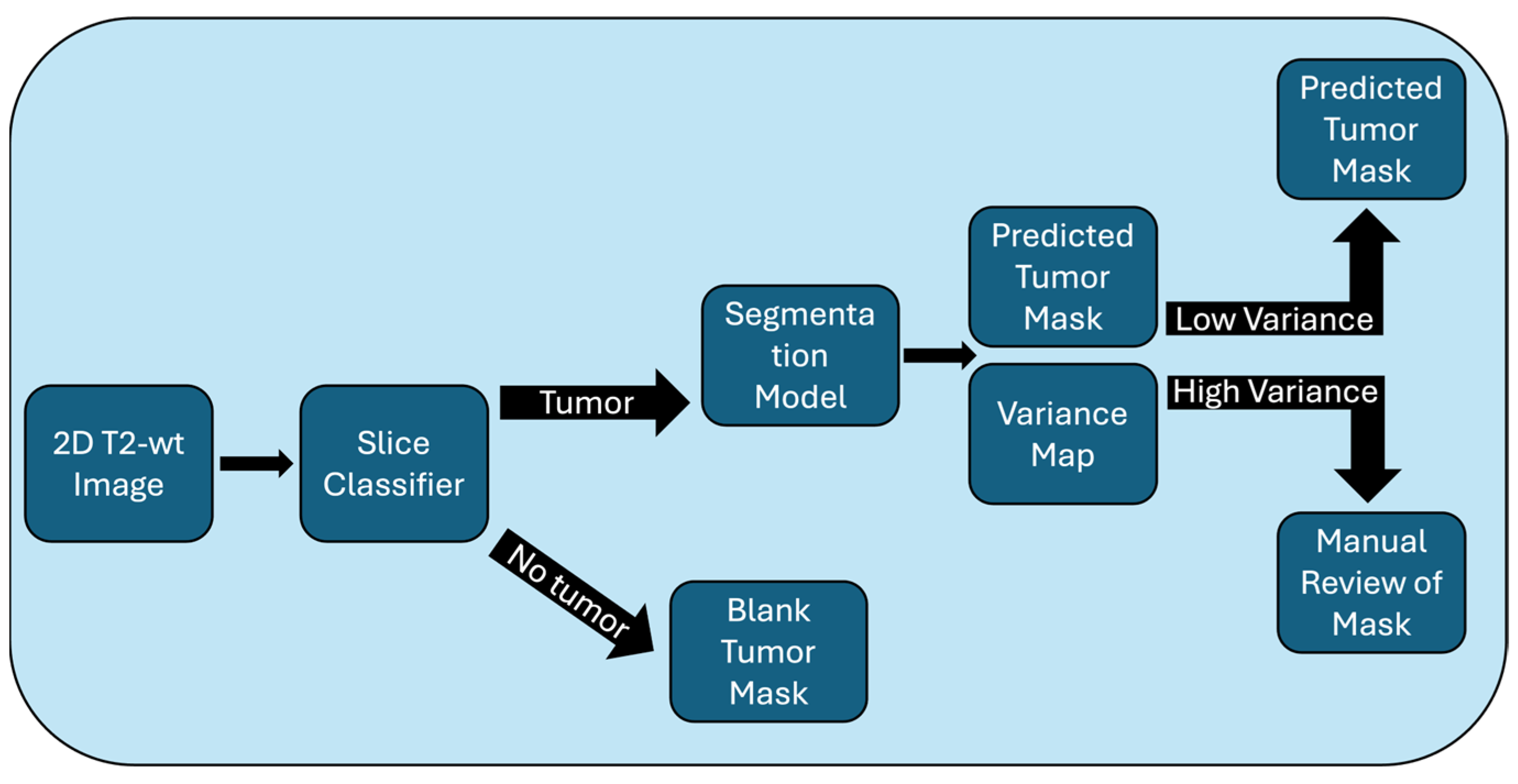 Tomography 11 00021 g001a