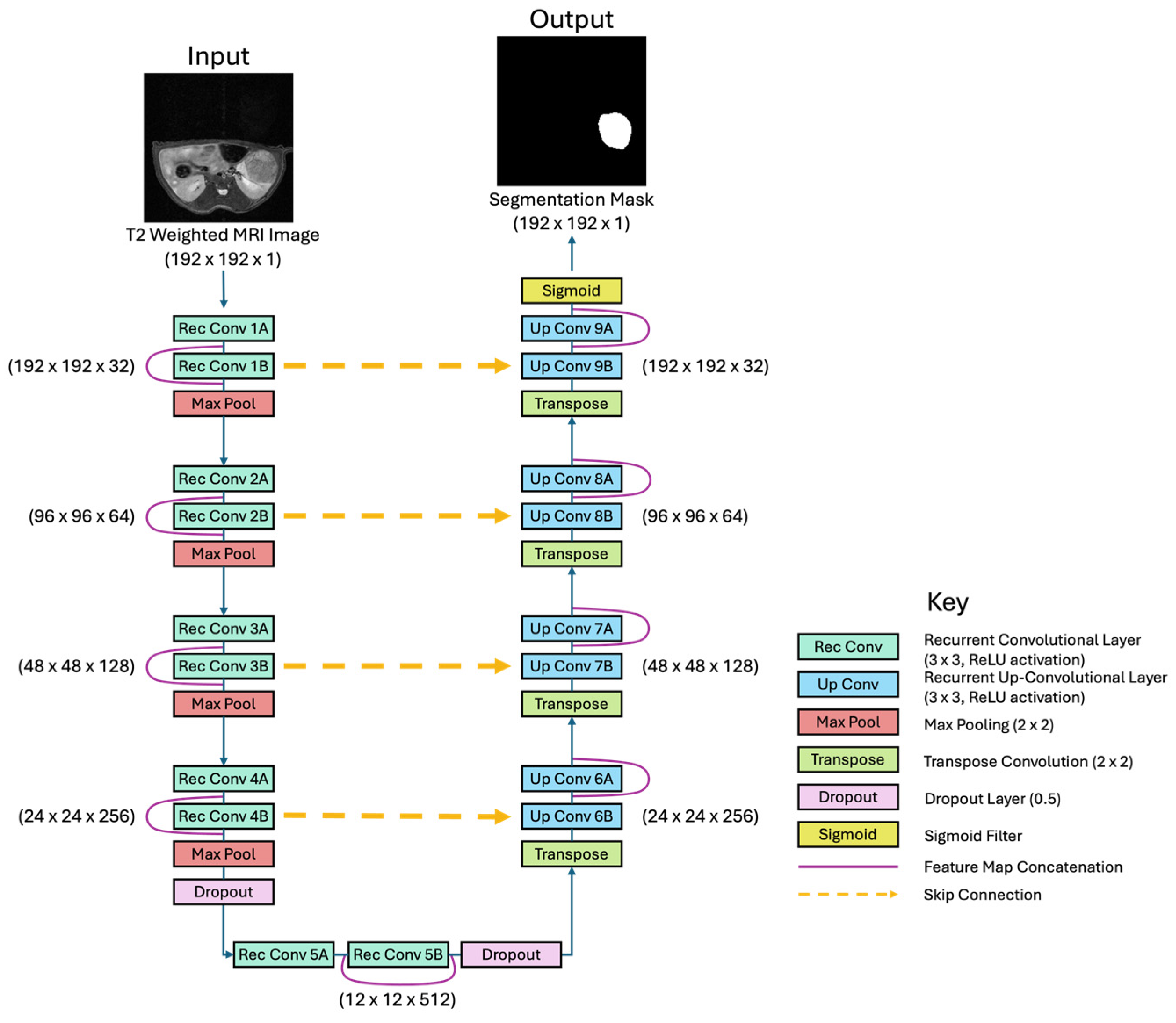 Tomography 11 00021 g001b