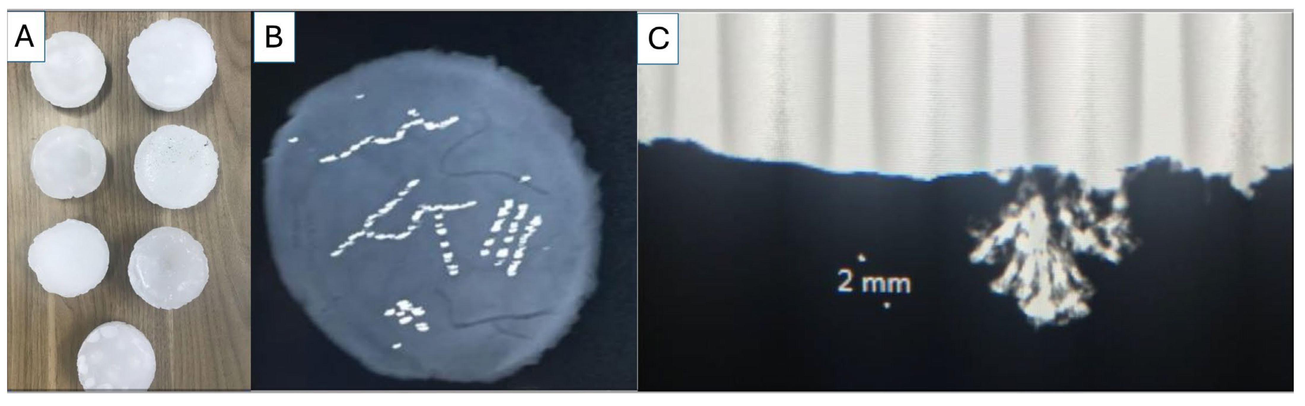 Tomography 11 00025 g007